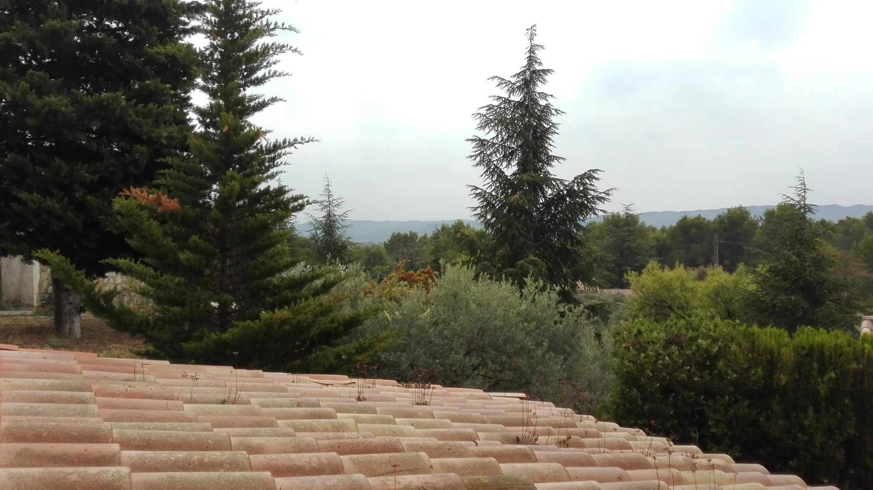 Garden view in La Petite Maison de Marie Louise