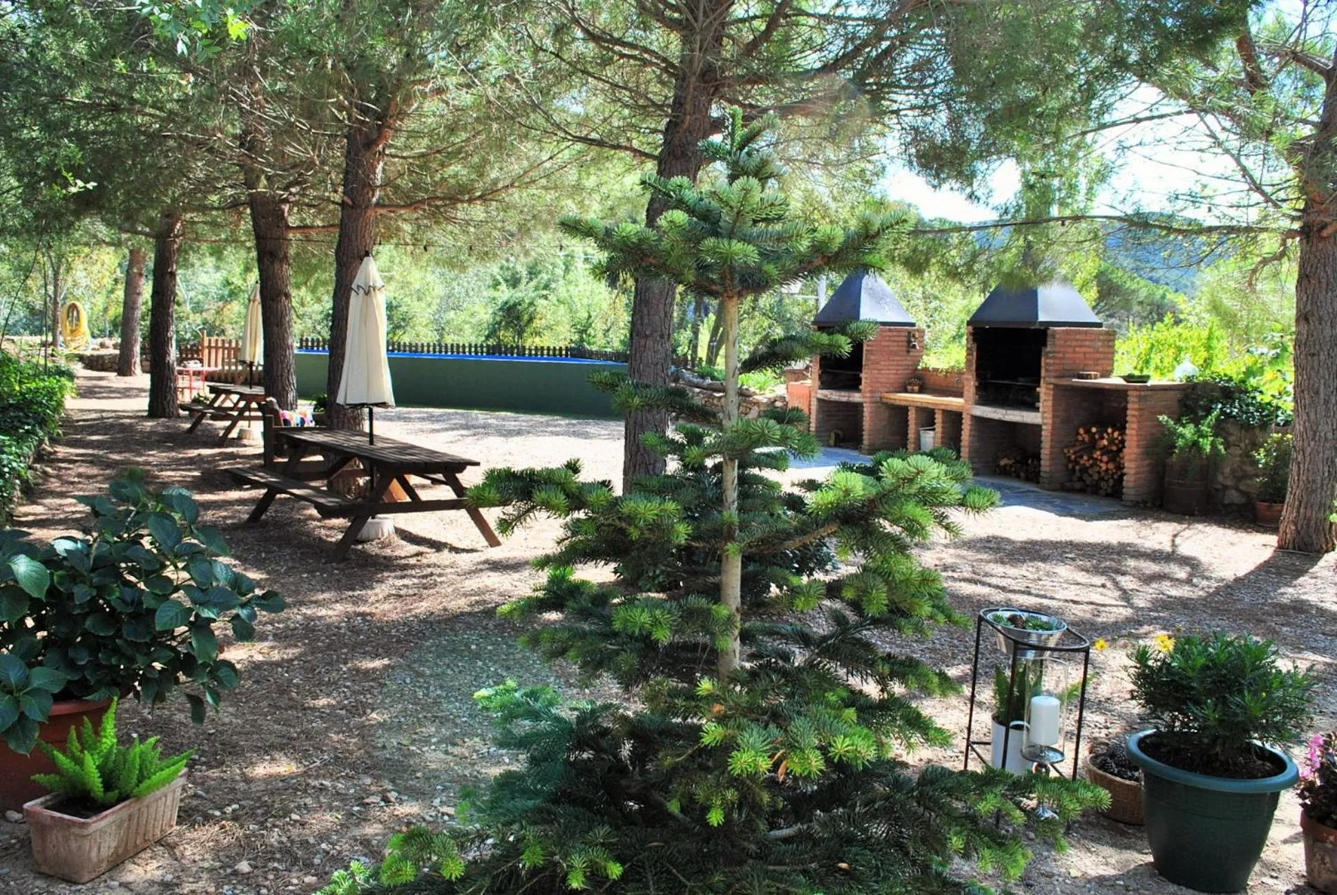 BBQ facilities in Masia El Canalot - Molí Del Pont