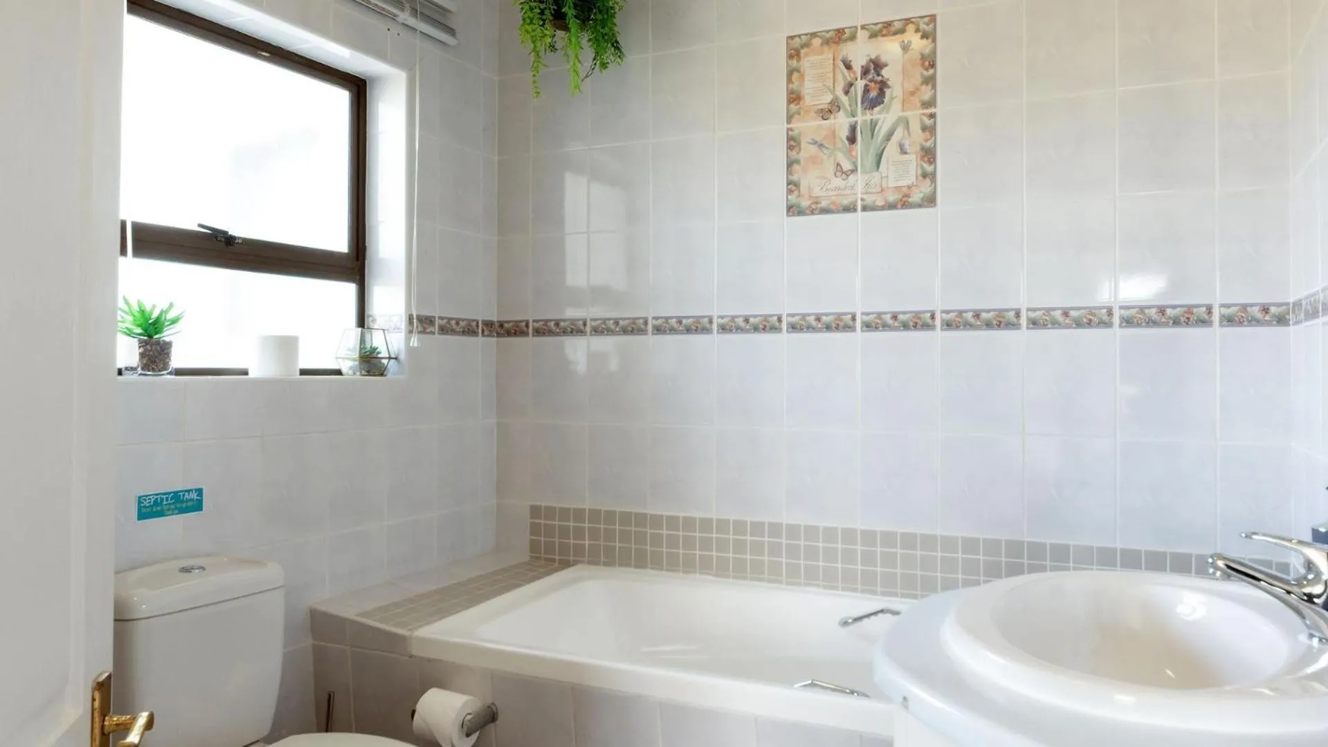 Toilet in Fly Me To The Moon Guesthouse