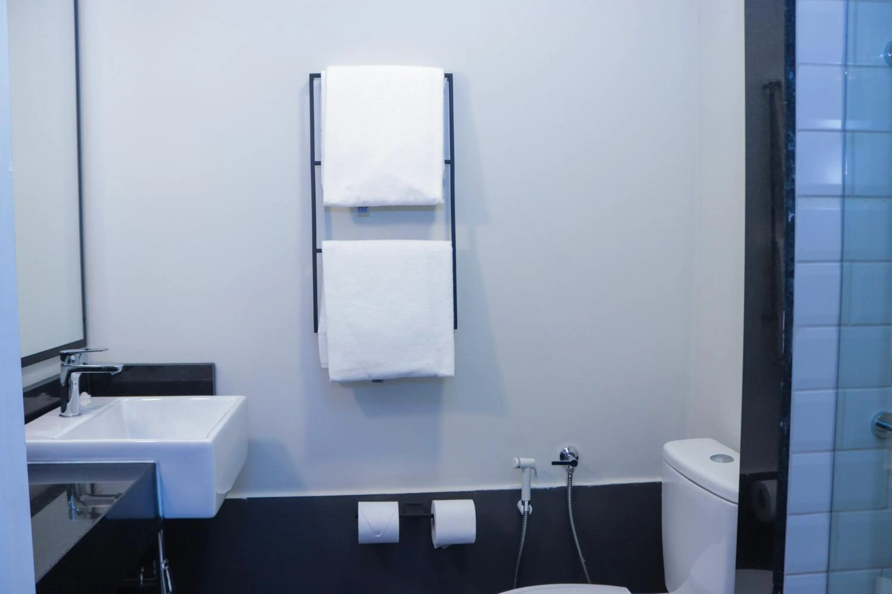 Toilet in ibis Primavera do Leste