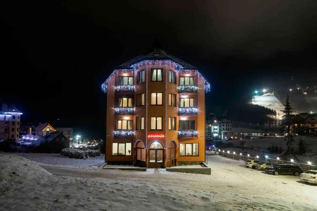 Alpin Hotel
