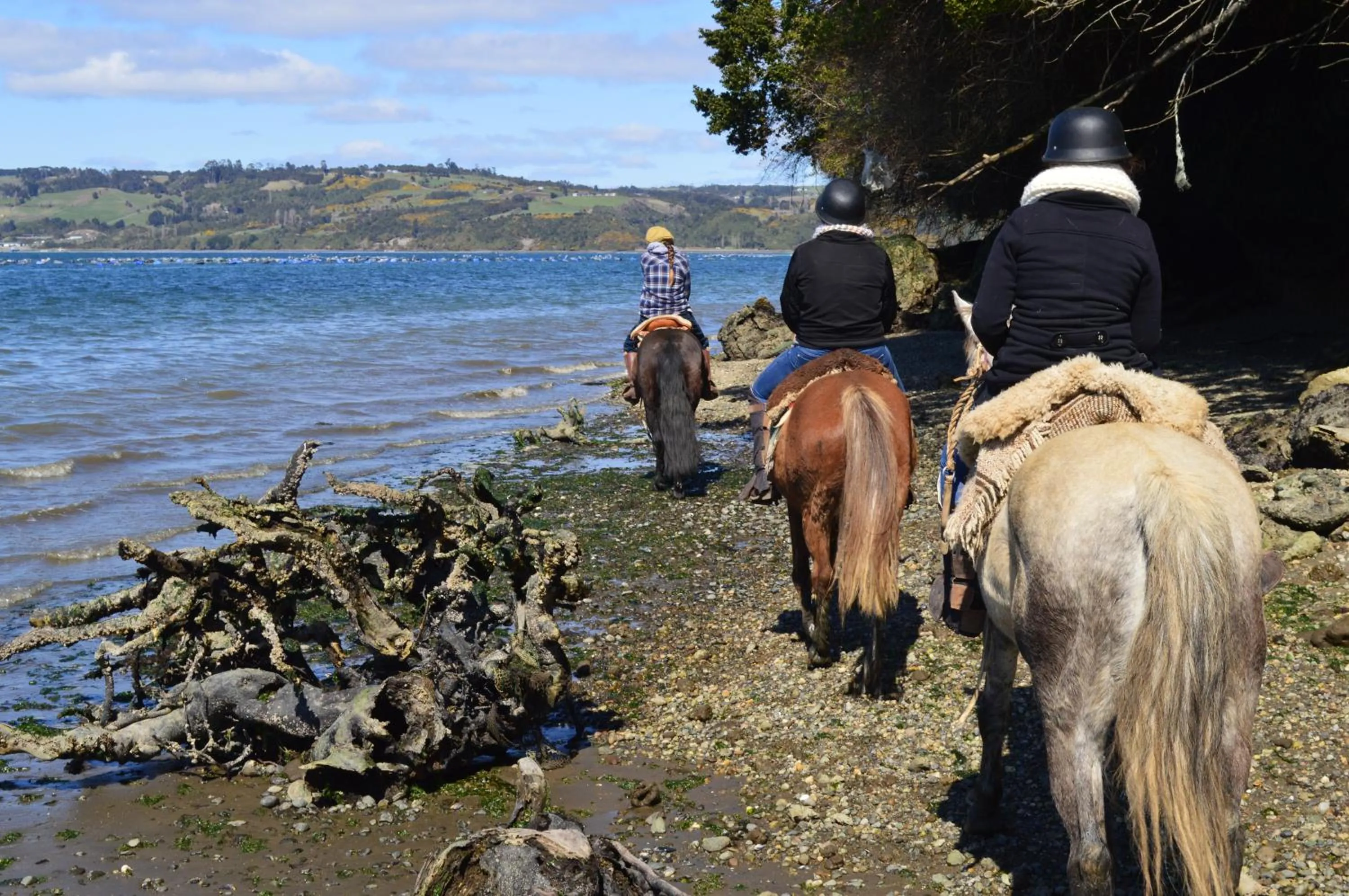 Sports in Refugio Pullao