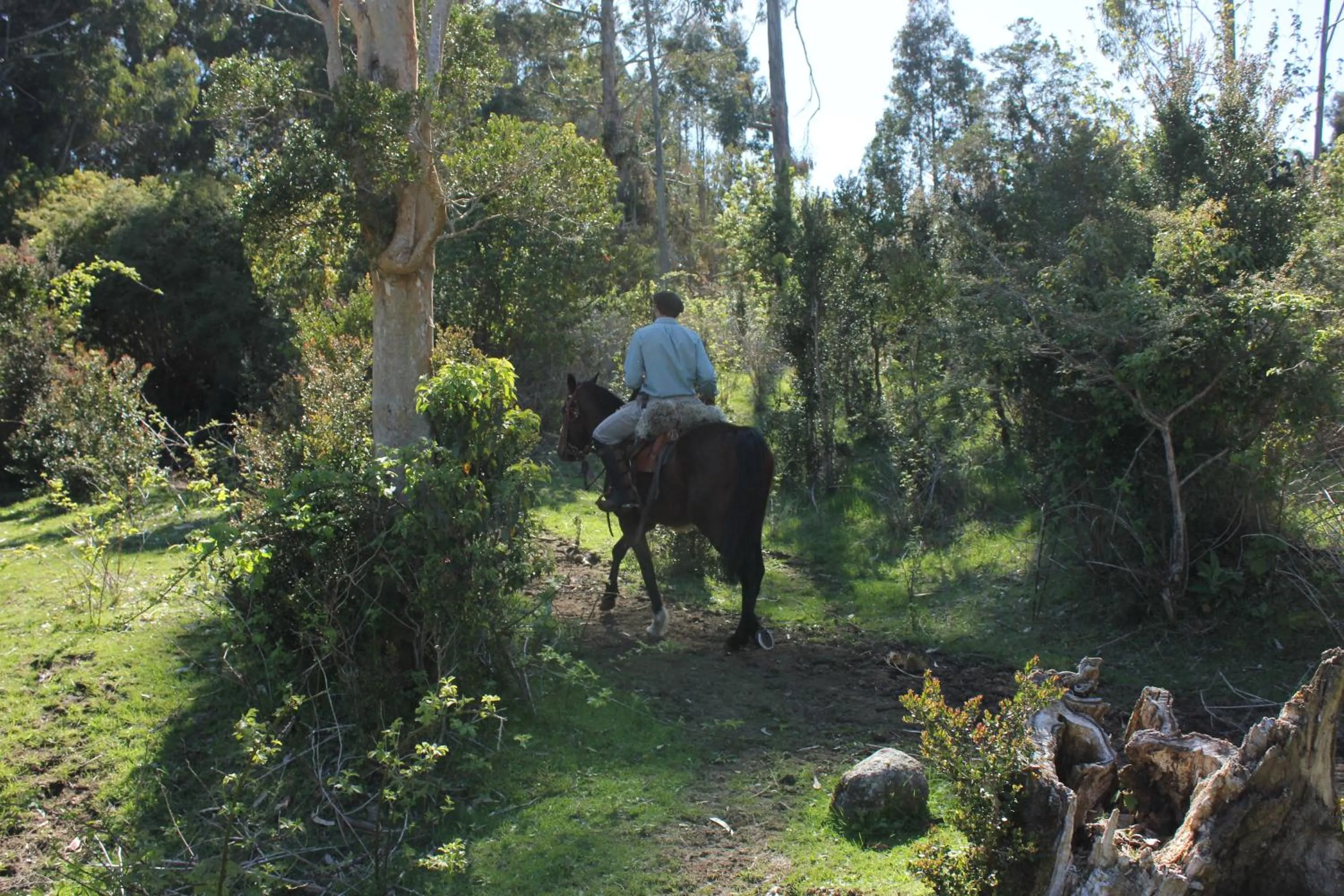 Day in Refugio Pullao