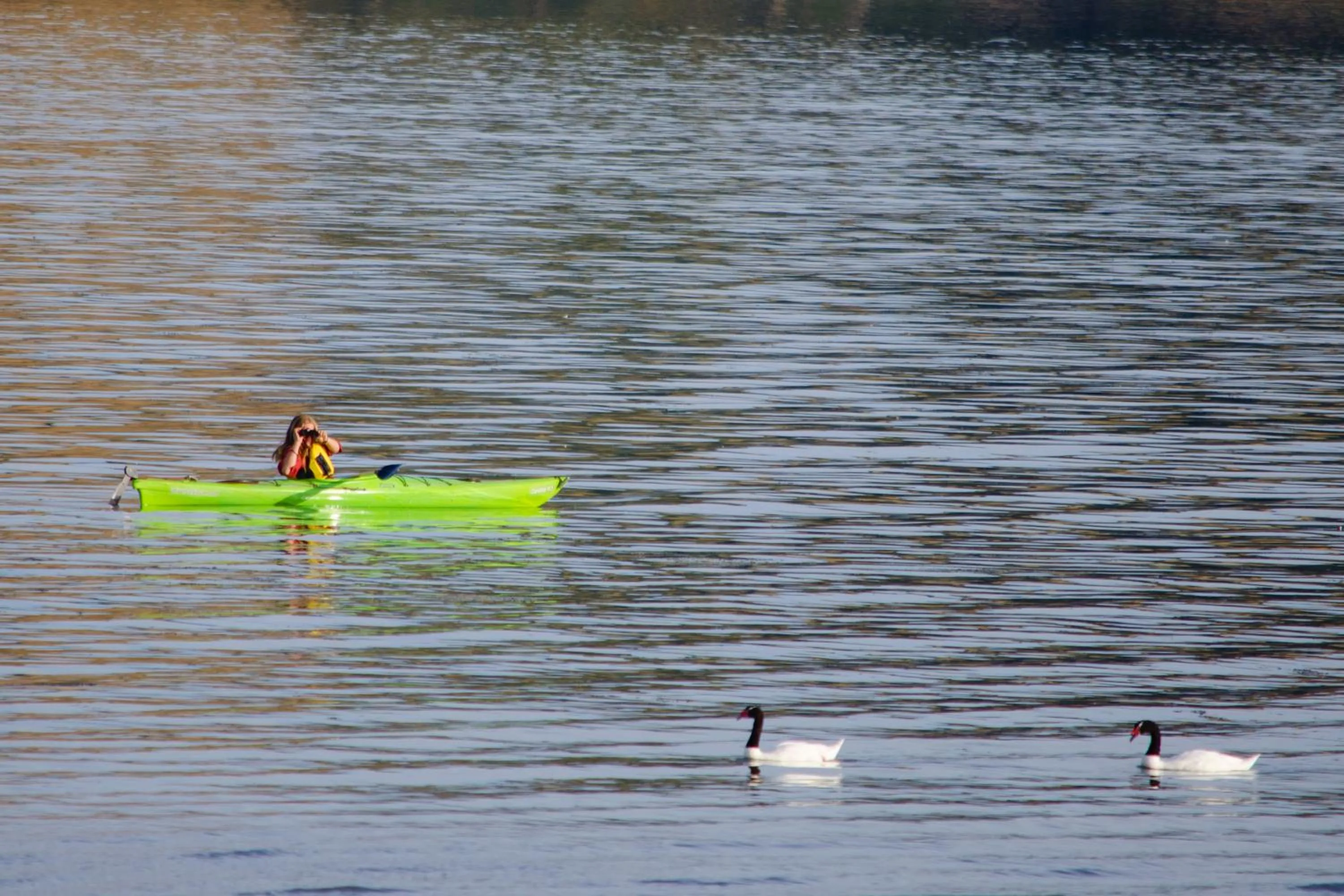 Canoeing in Refugio Pullao