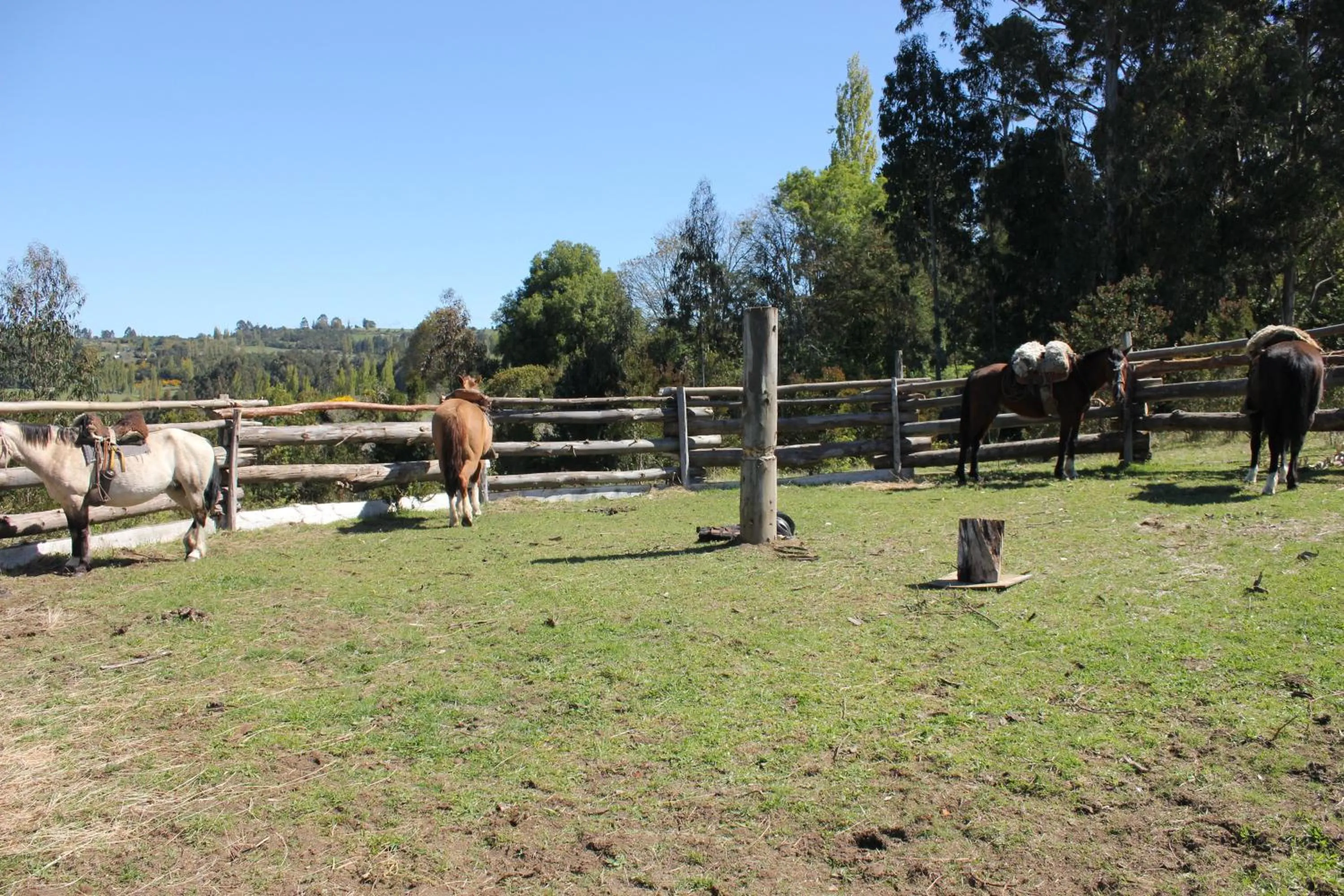 Day in Refugio Pullao