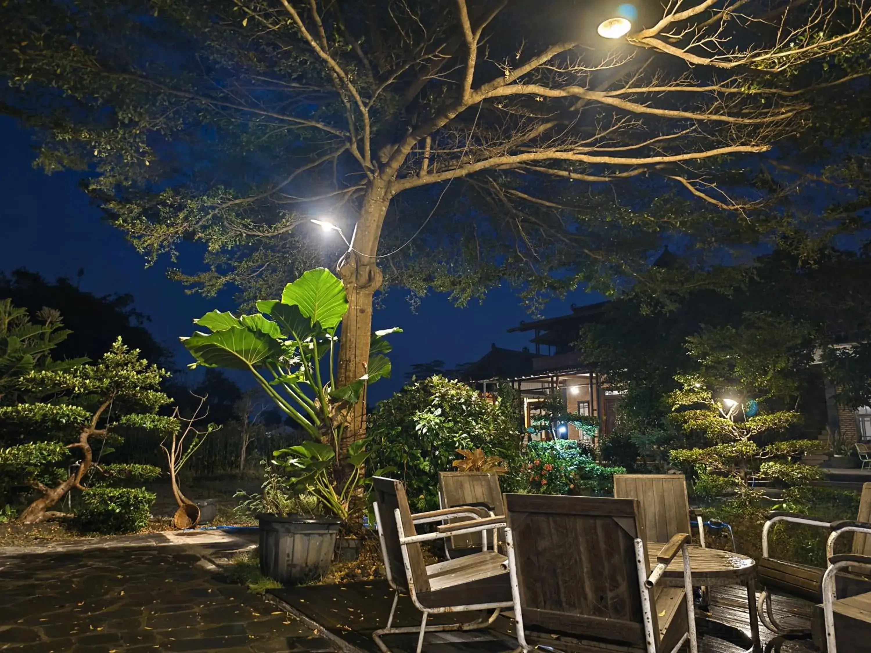 Night in Lotus 2 Guest House Night in Lotus 2 Guest House