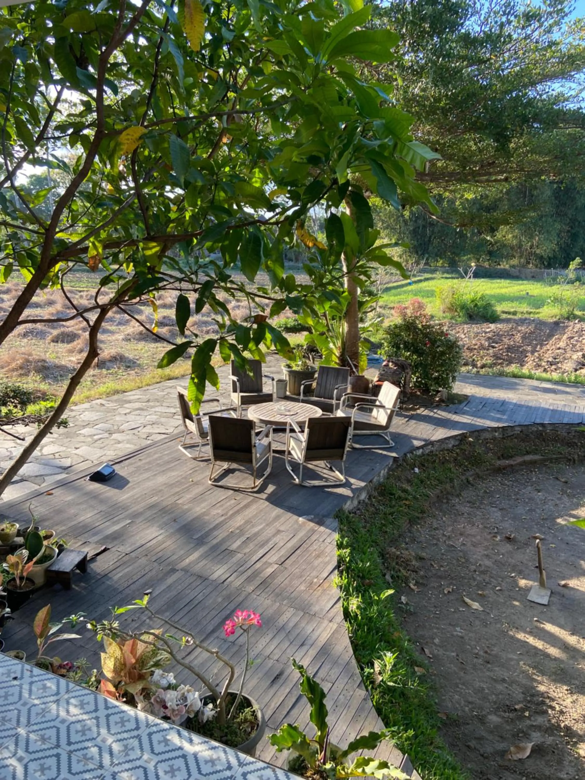 Spring in Lotus 2 Guest House