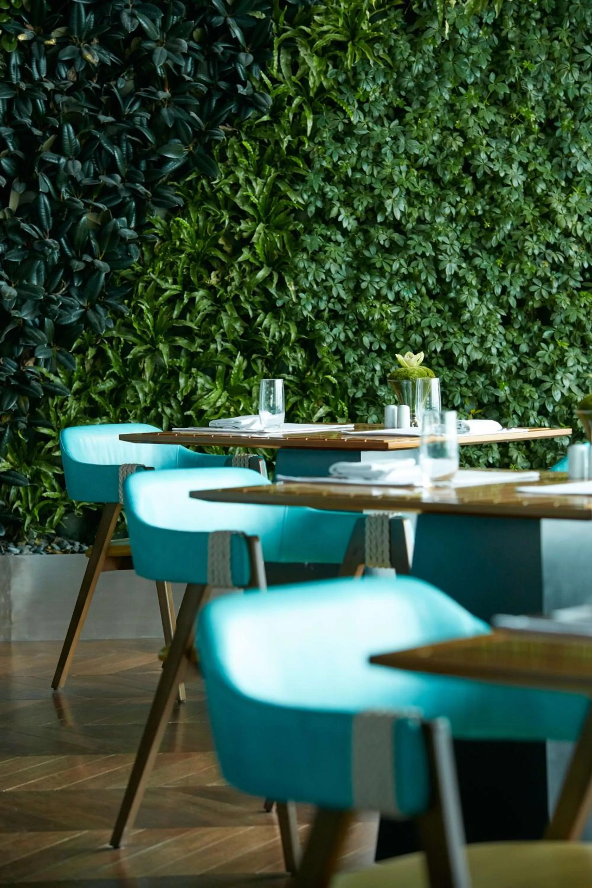 Restaurant/places to eat in Suning Galaxy International Hotel Wuxi