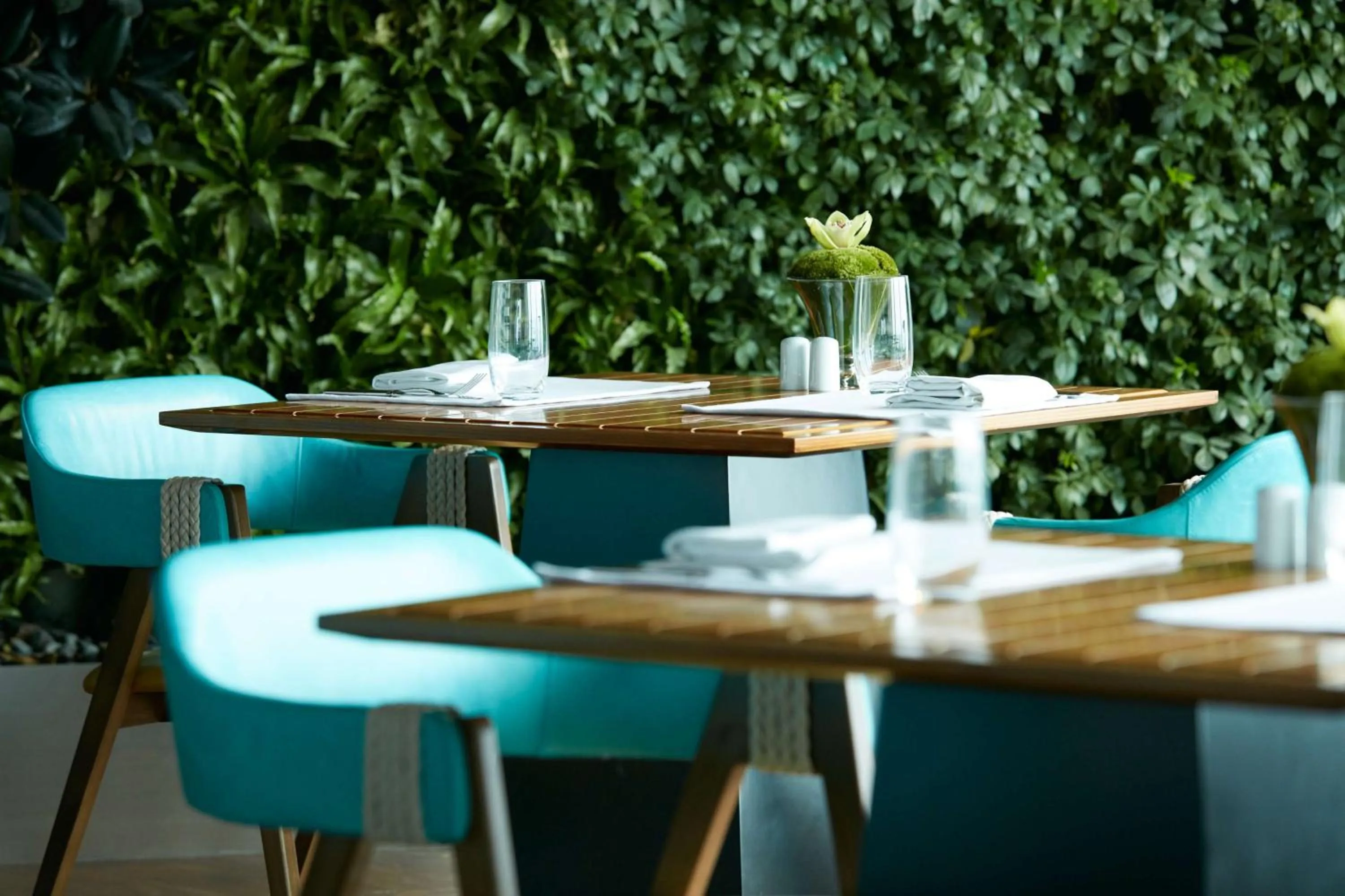 Restaurant/places to eat in Suning Galaxy International Hotel Wuxi