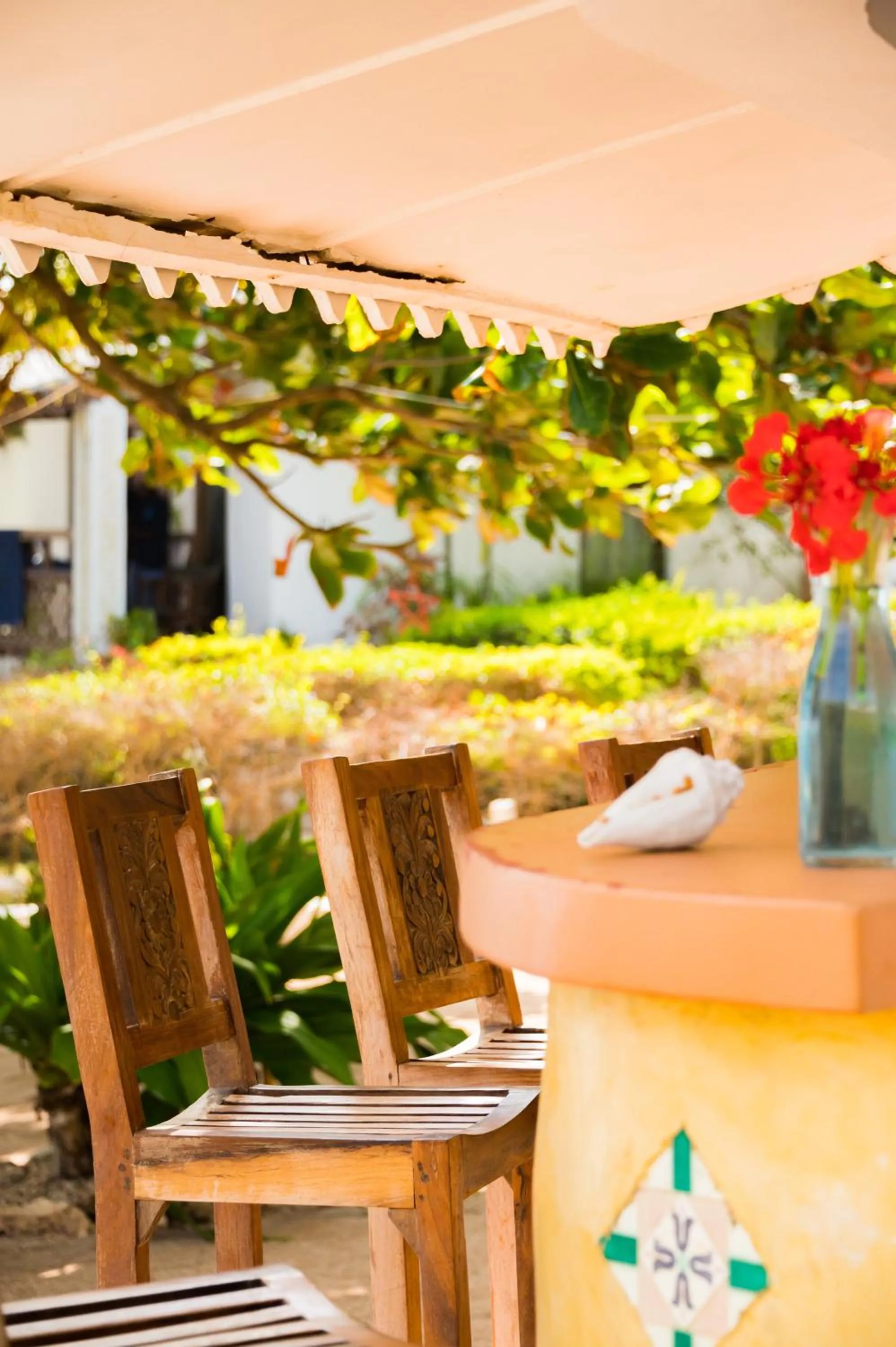 Garden in Warere Beach