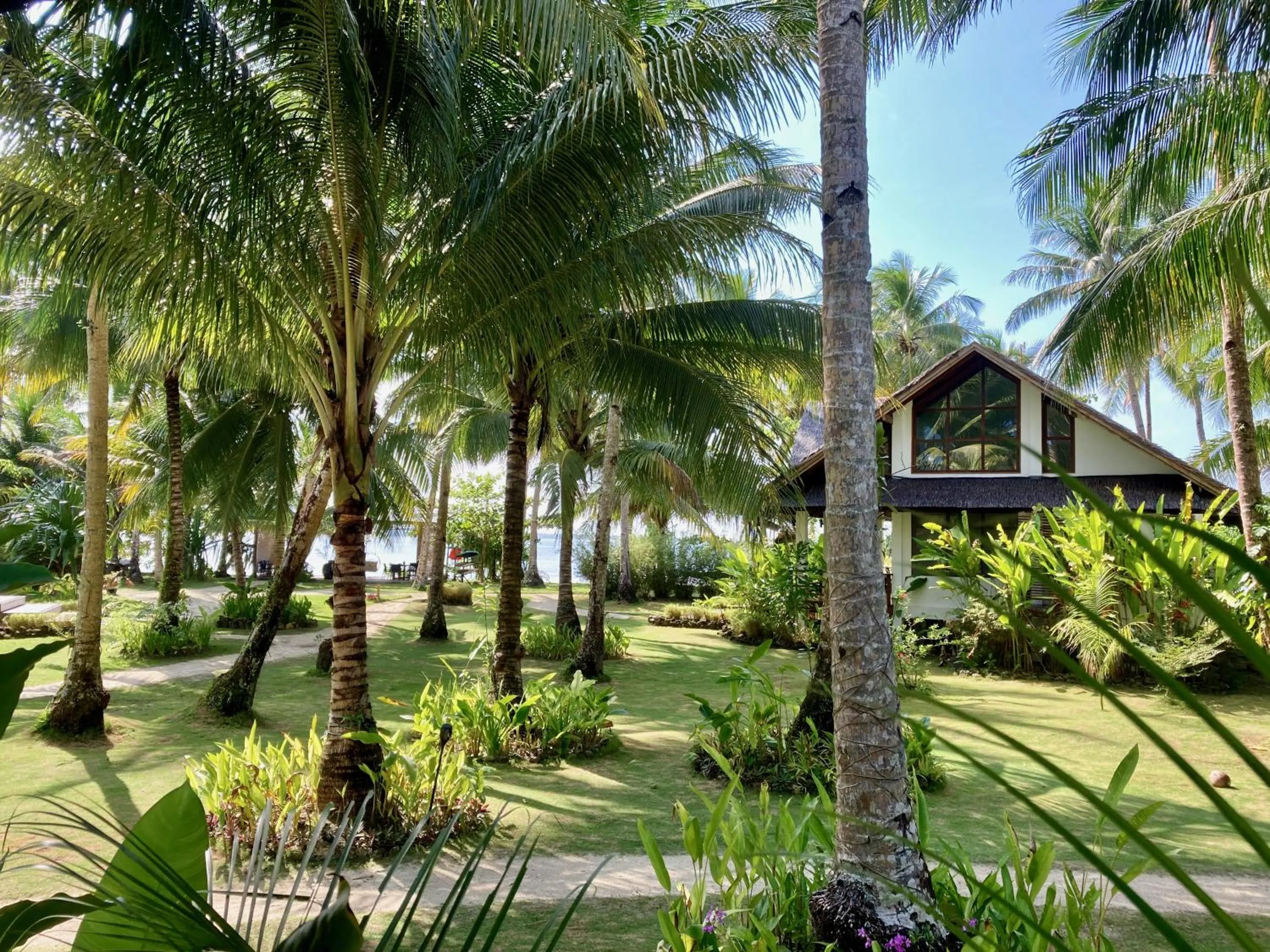 Garden in Sandy Feet Siargao
