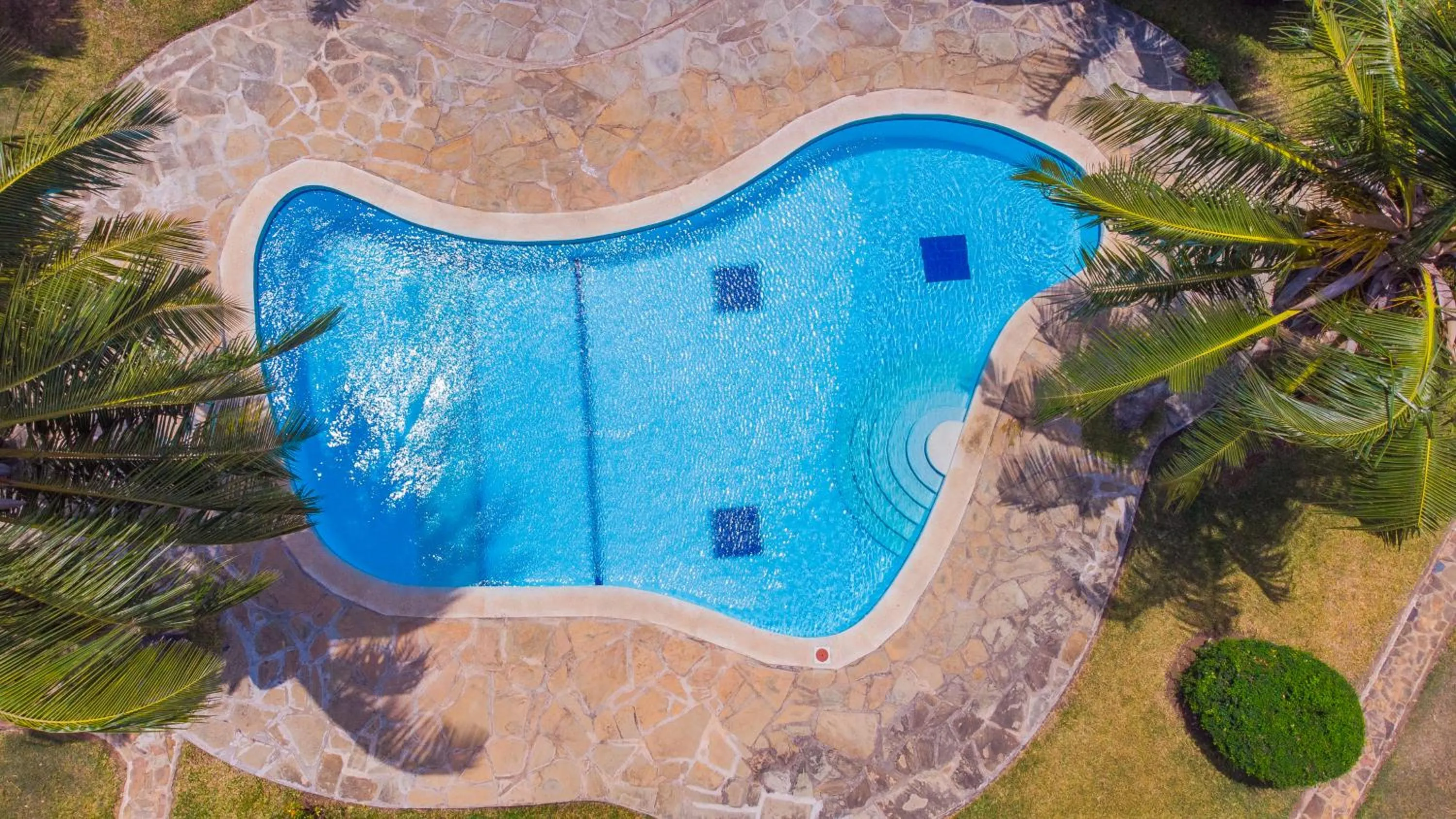 Natural landscape in Doric Cottages Diani