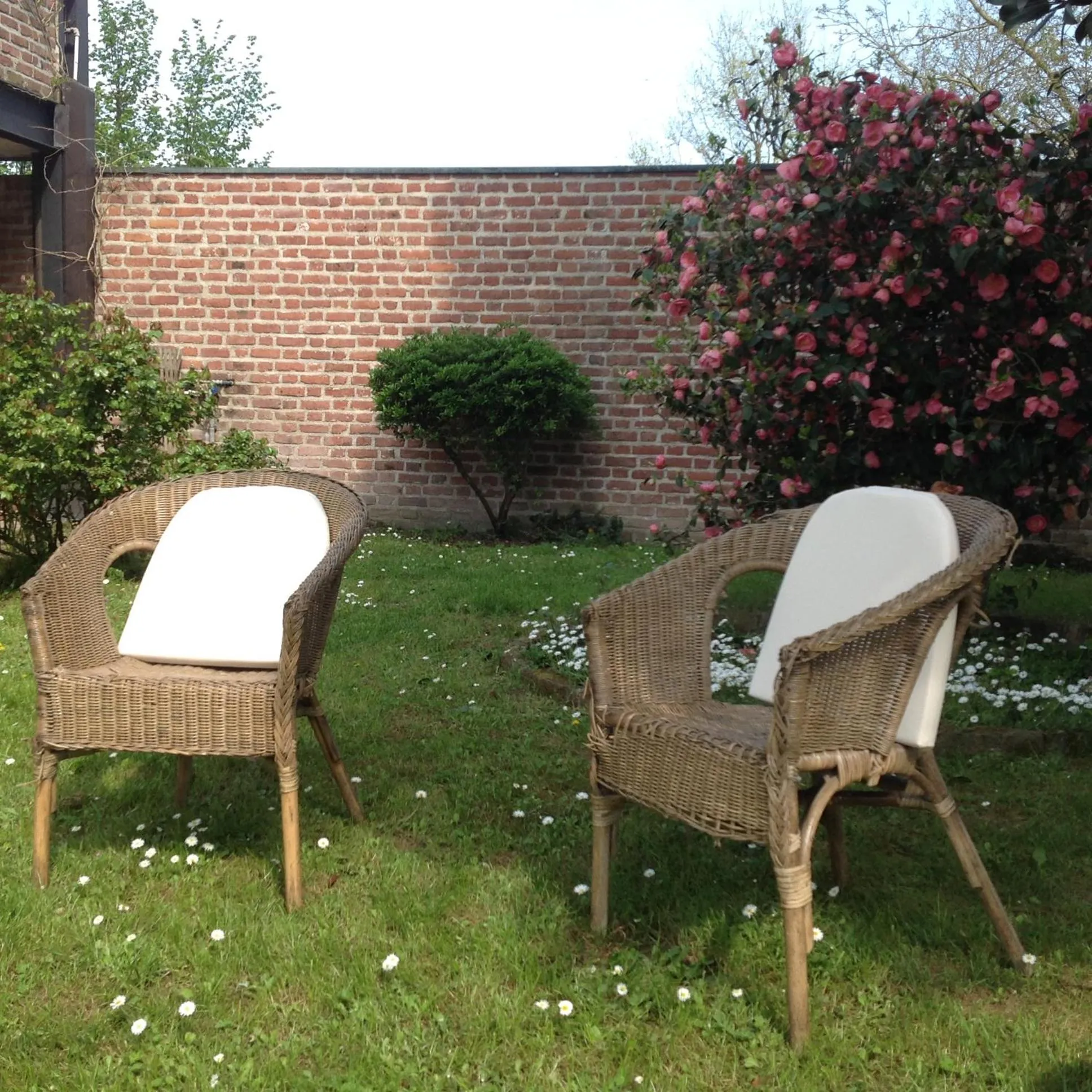 Day in Agriturismo La Morosina