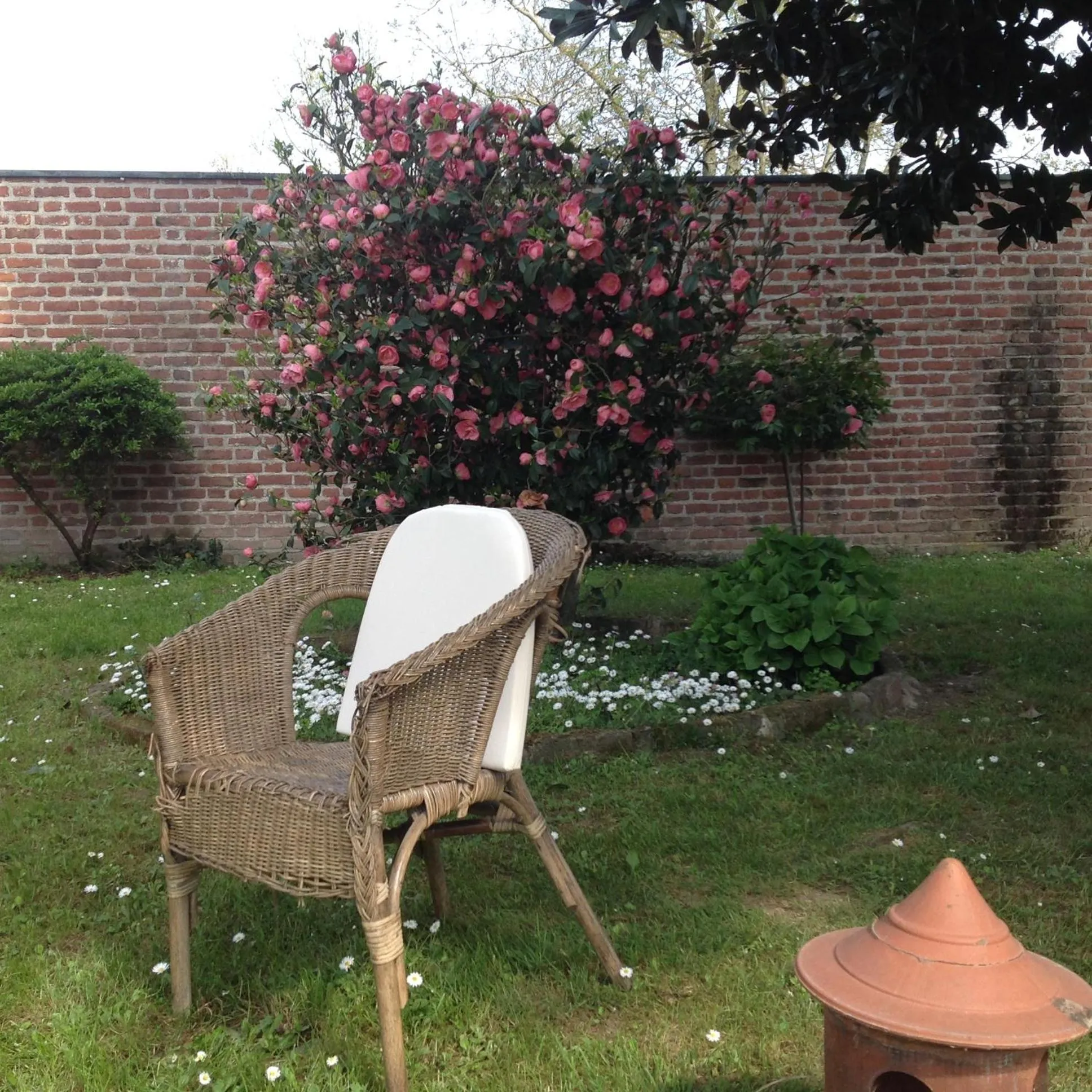 Day in Agriturismo La Morosina