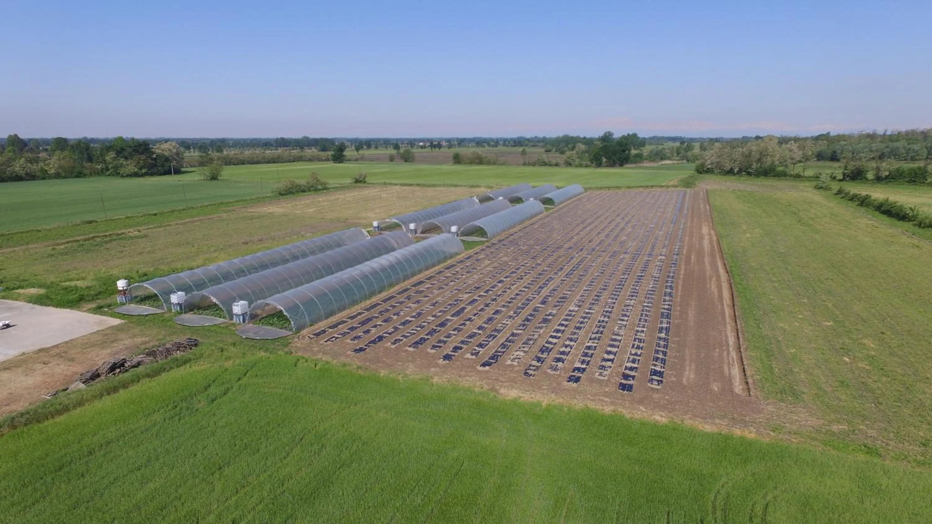 View (from property/room) in Agriturismo La Morosina