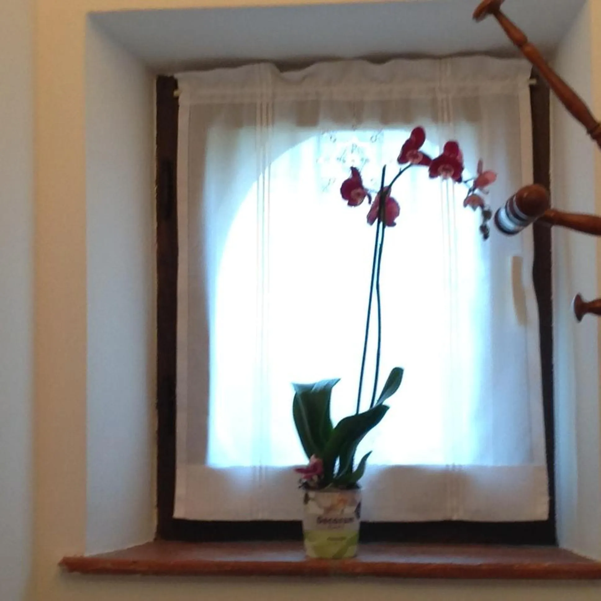 Day in Agriturismo La Morosina