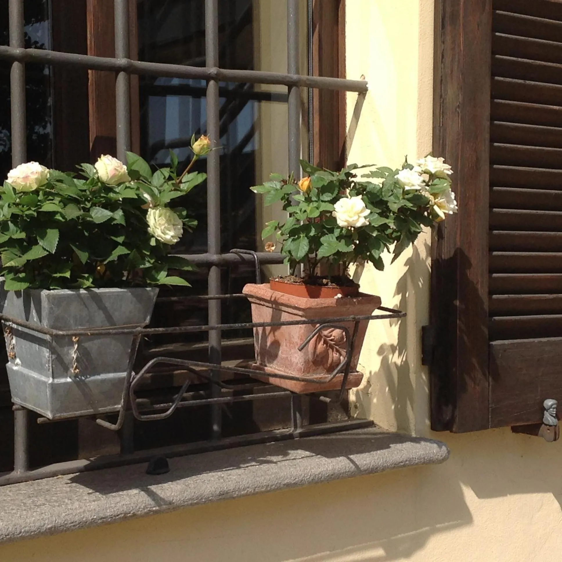 Other in Agriturismo La Morosina