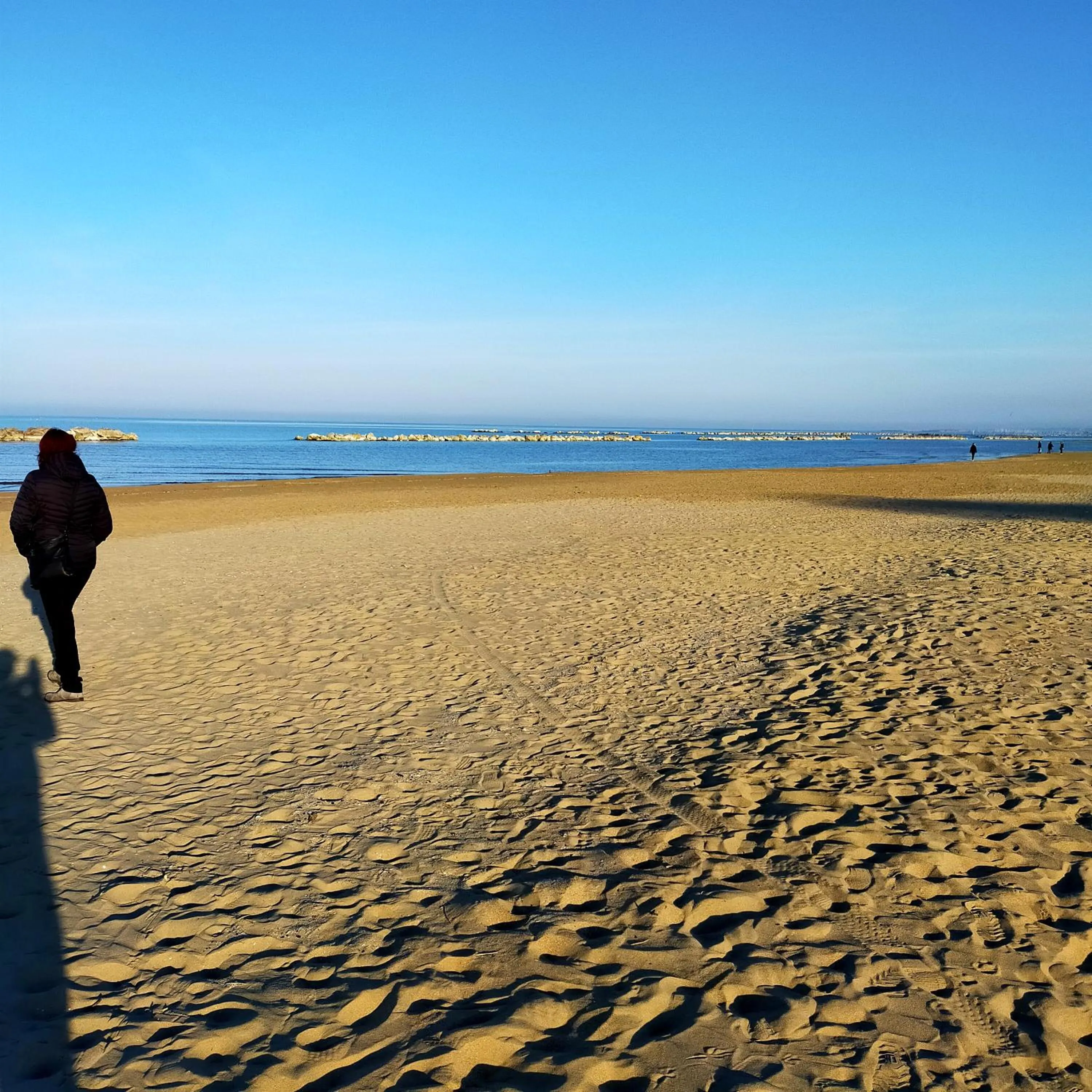 Beach in Il Cavalluccio Marino