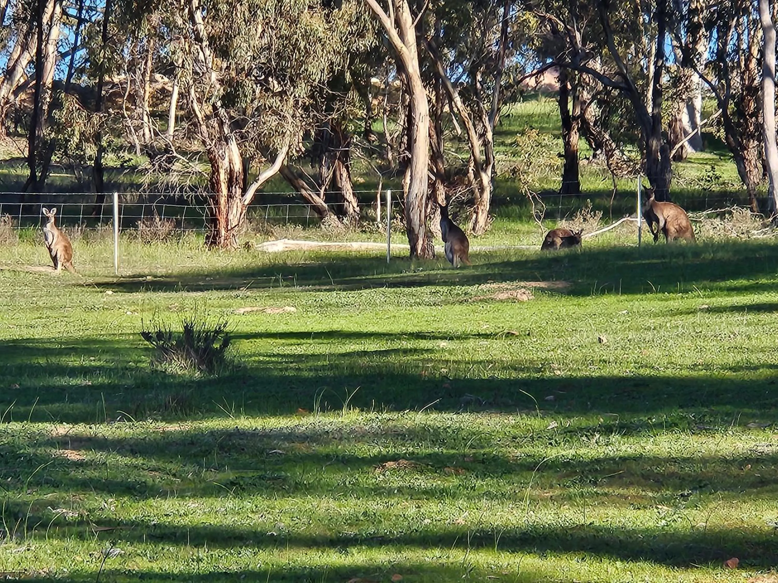 Neagles Retreat Villas