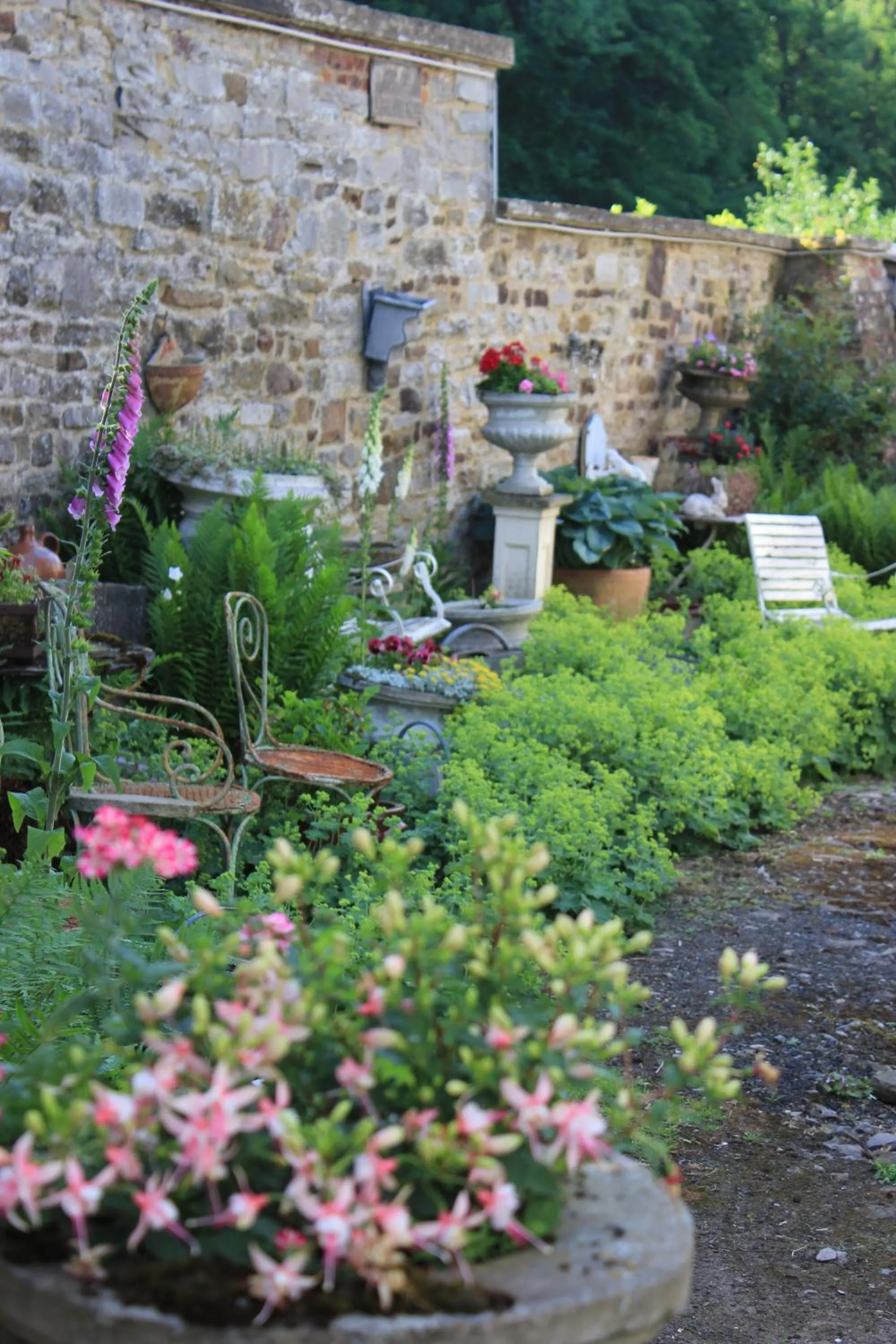 Natural landscape in La Passiflore B&B
