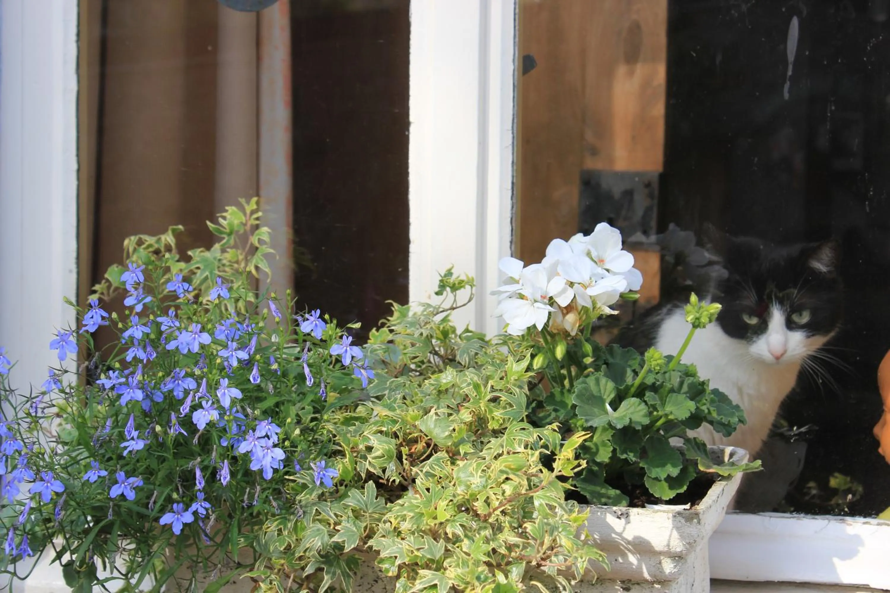 Property building in La Passiflore B&B