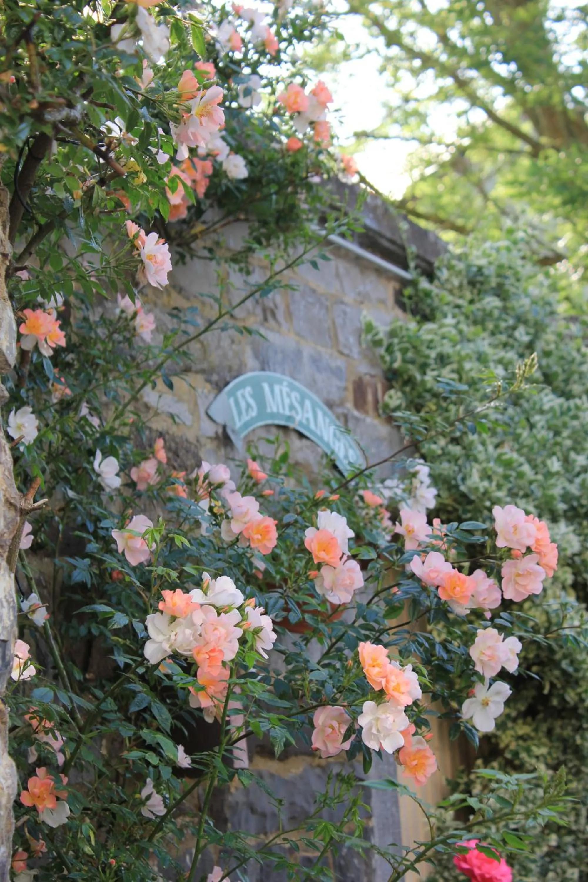 Property building in La Passiflore B&B