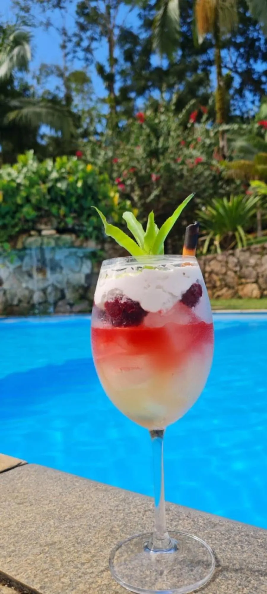 Alcoholic drinks in Pousada Bromélias