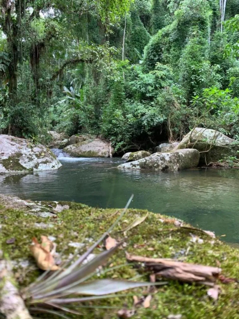 Natural landscape in Pousada Bromélias