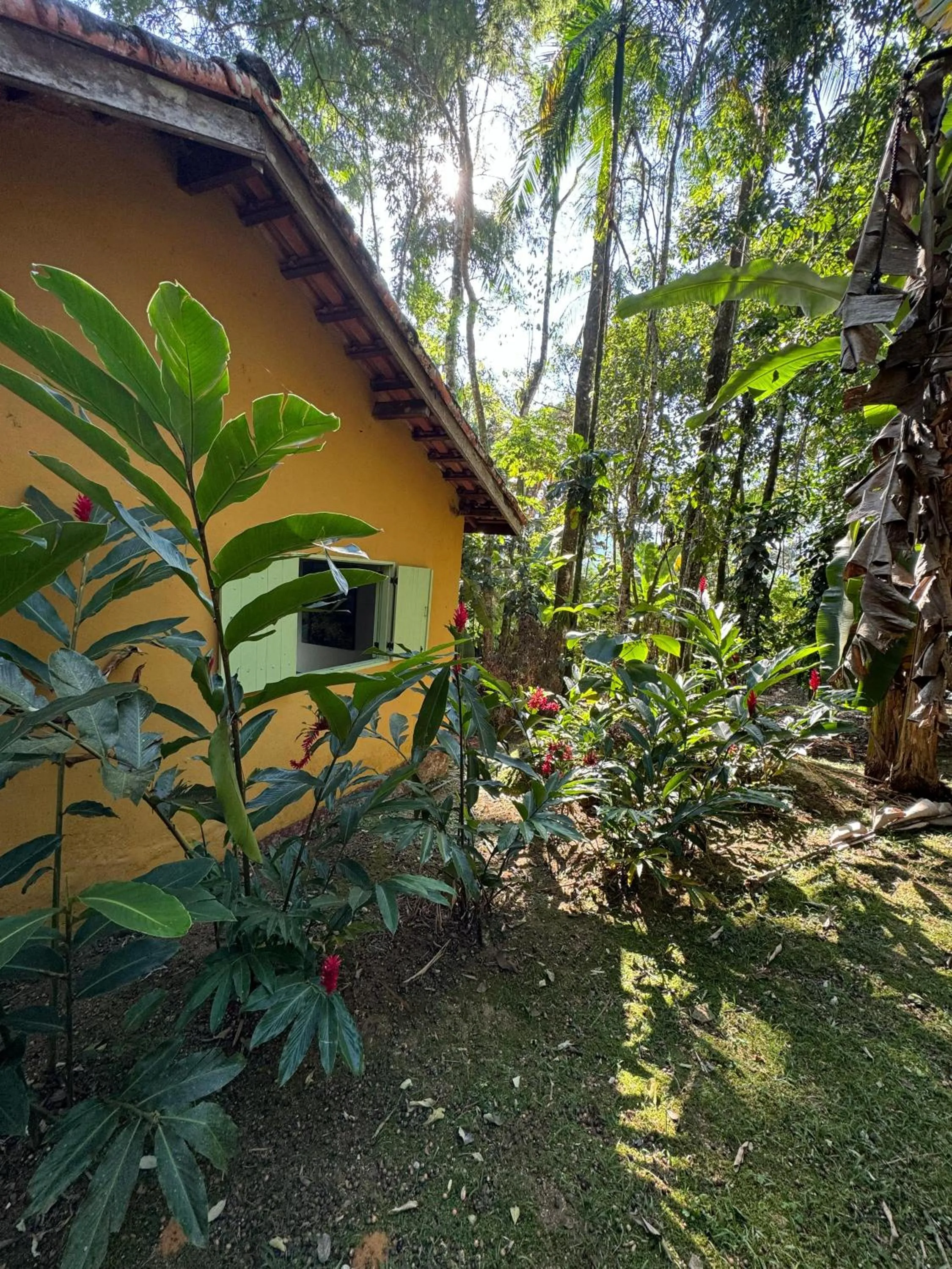 Garden view in Pousada Bromélias