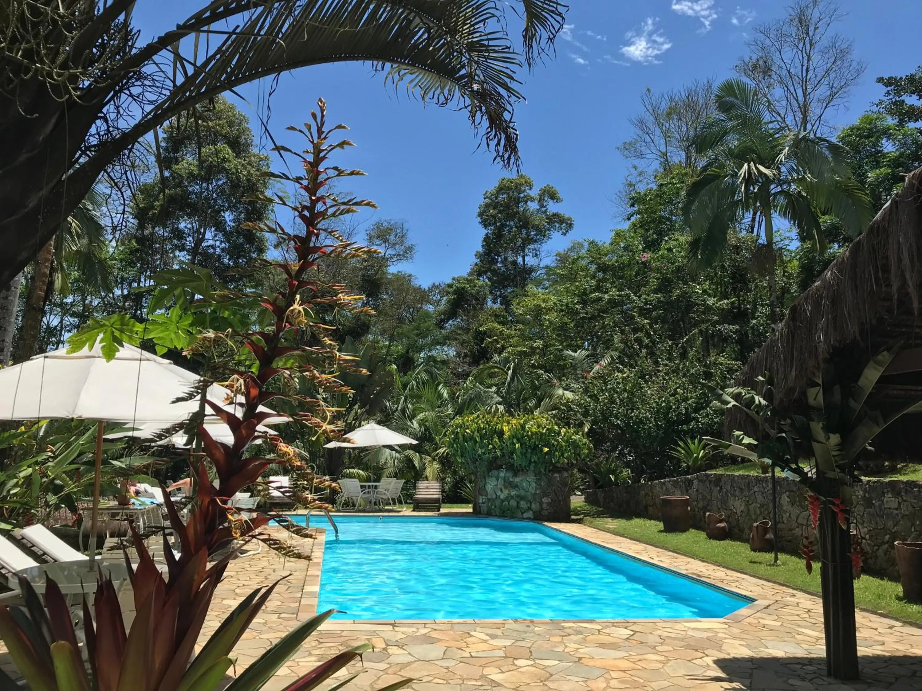 Garden view in Pousada Bromélias