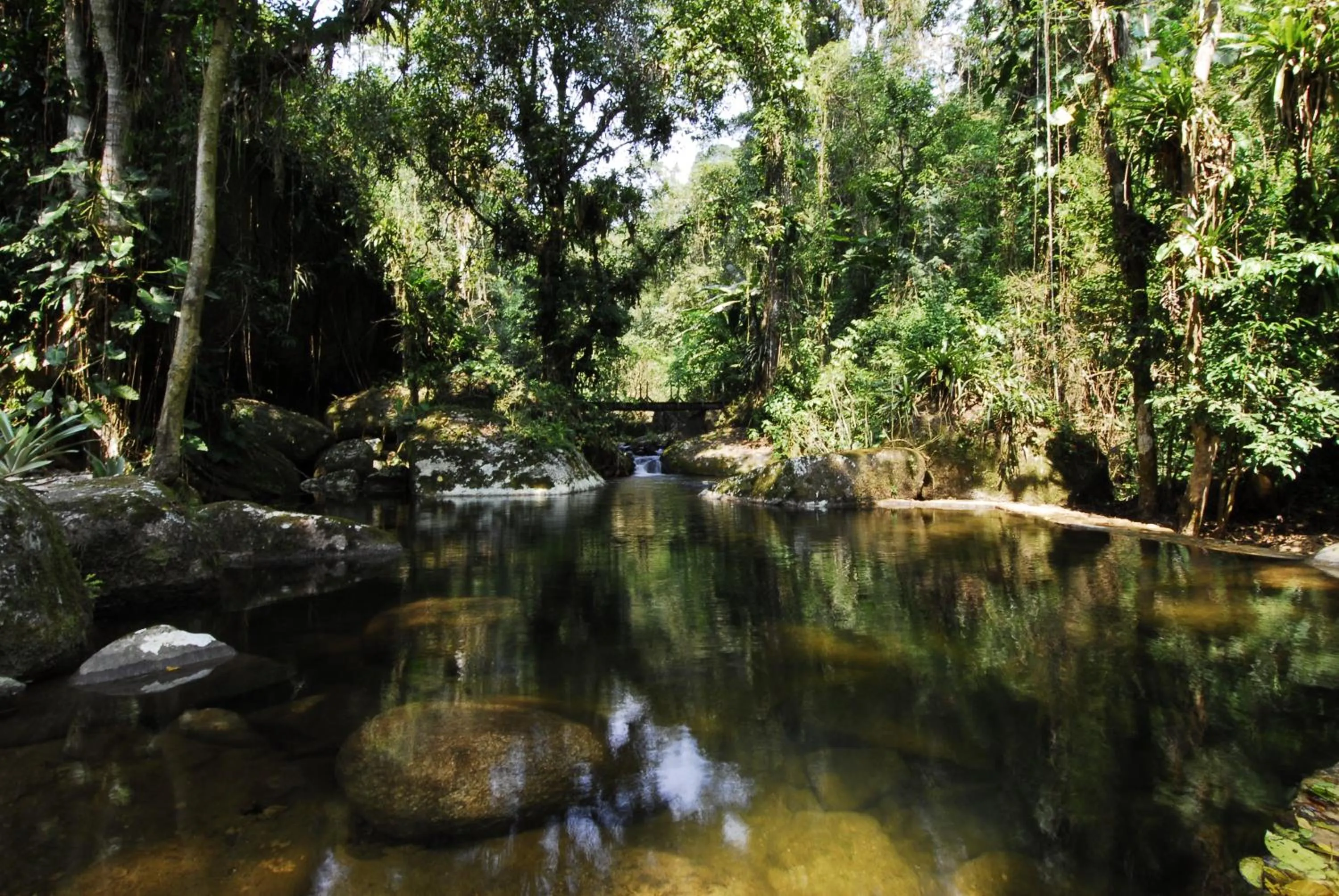 Natural landscape in Pousada Bromélias