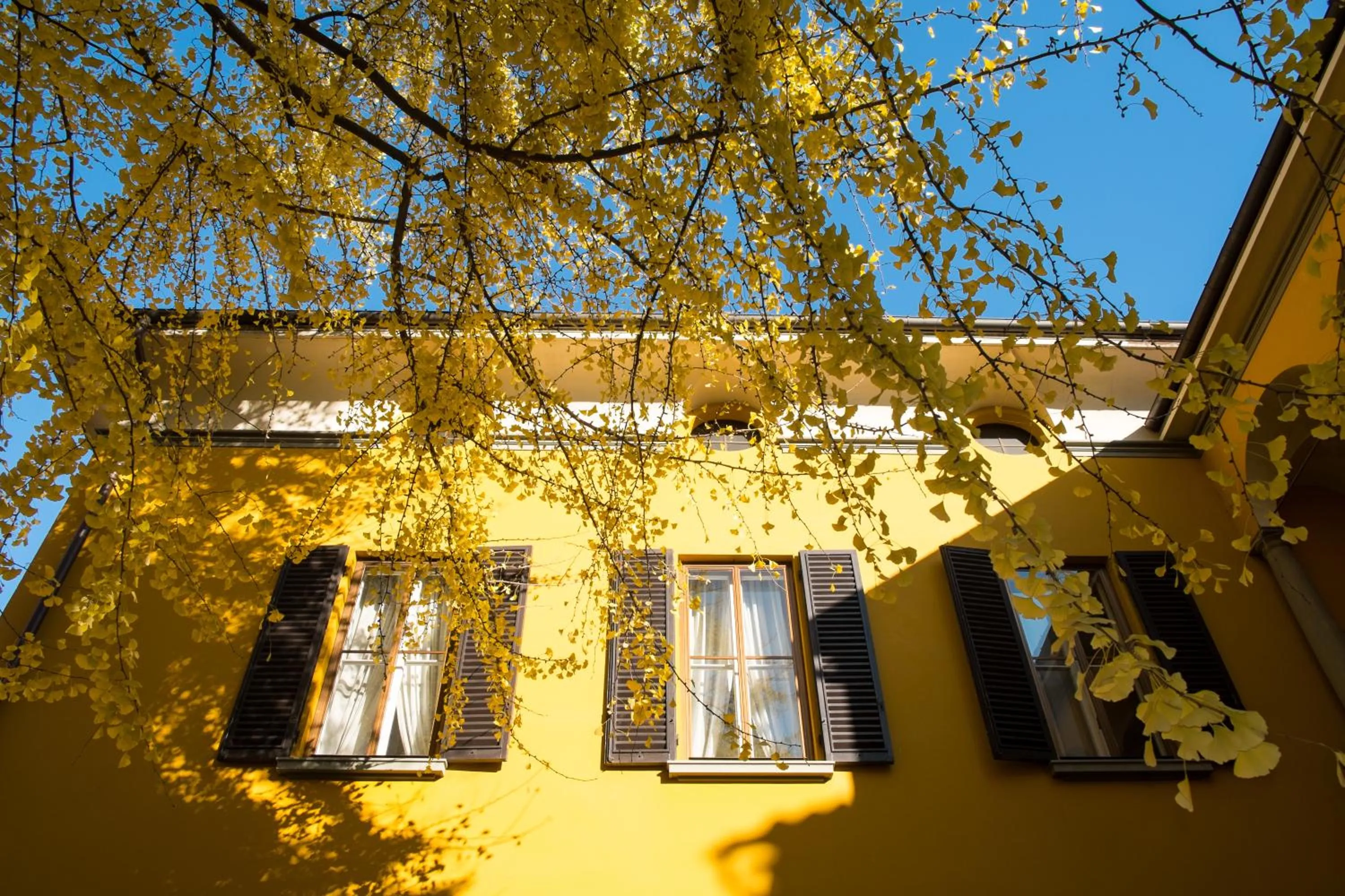 Property building in Casa Bertagni