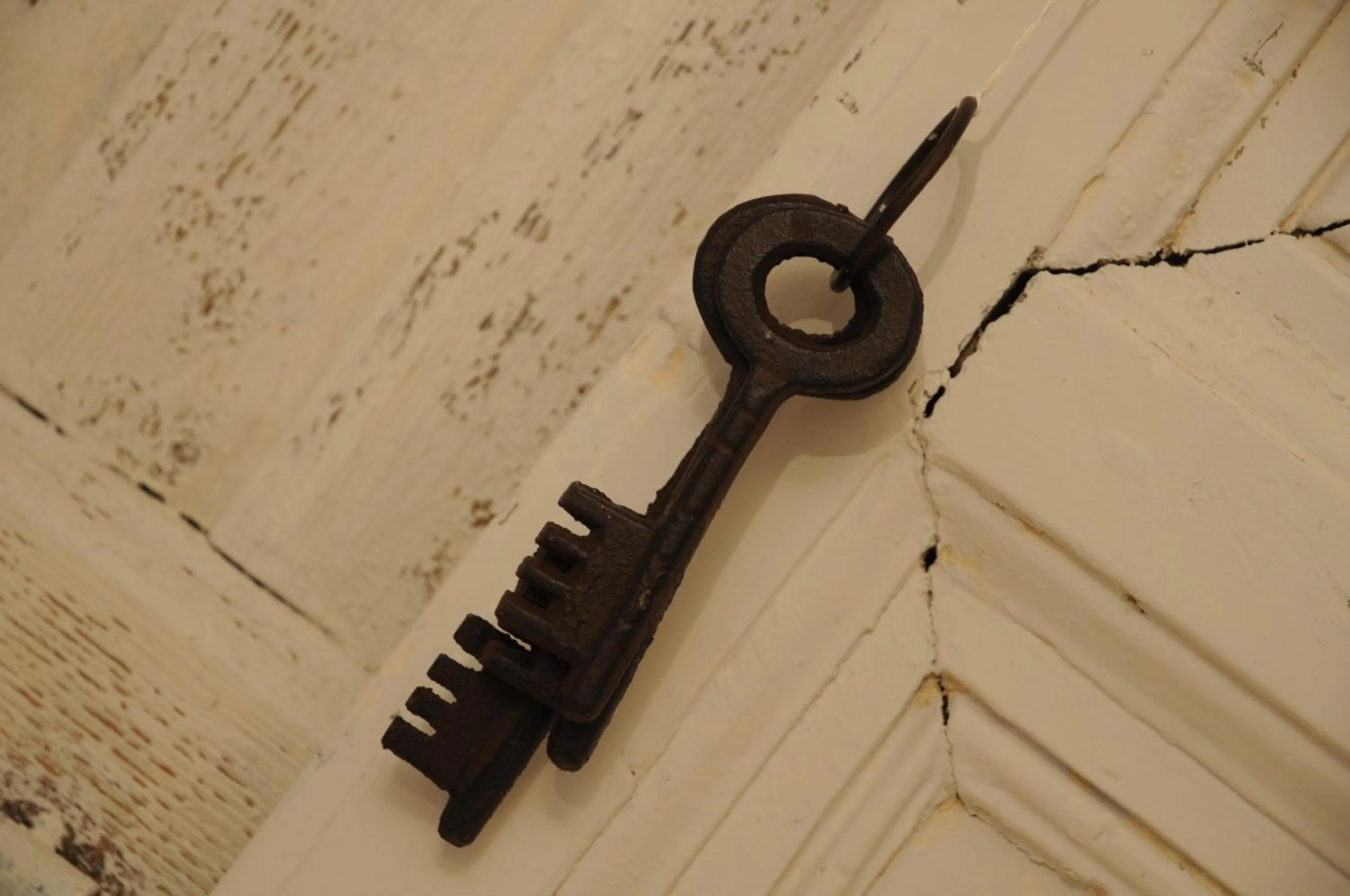 Decorative detail in Iblainsuite