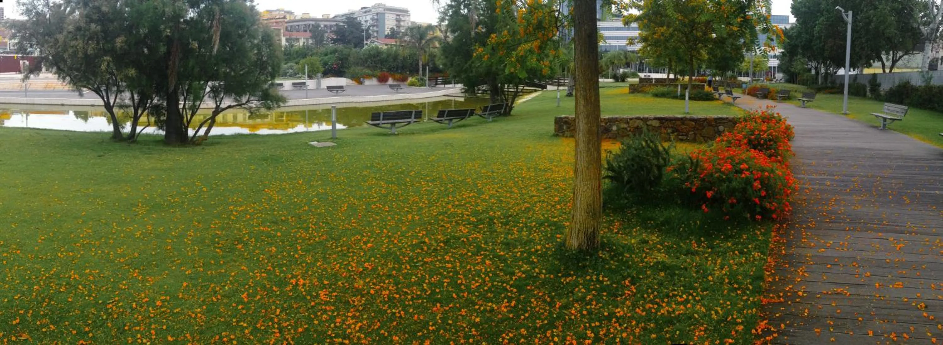 Neighbourhood in Superpanoramico