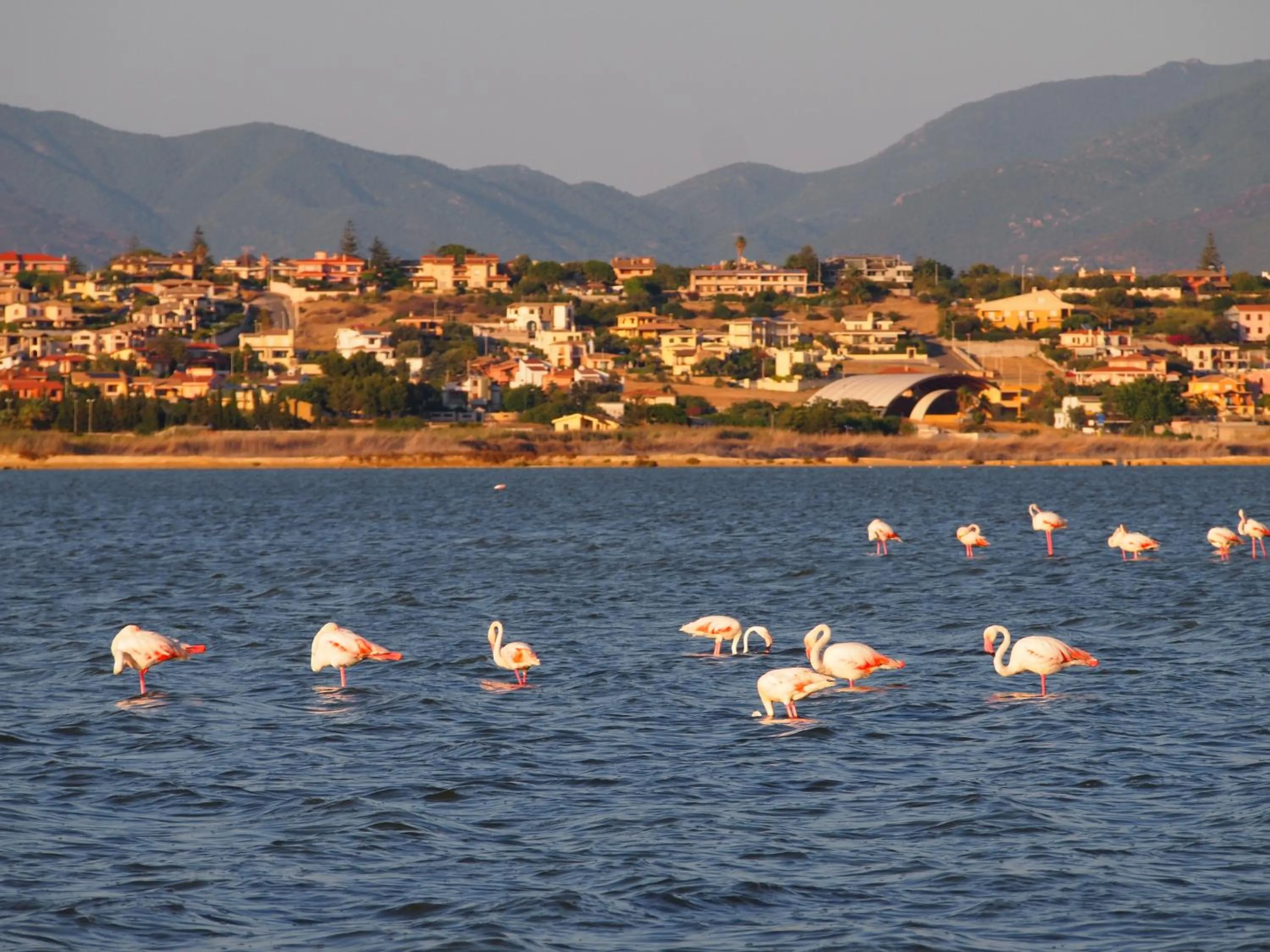 Nearby landmark in Superpanoramico