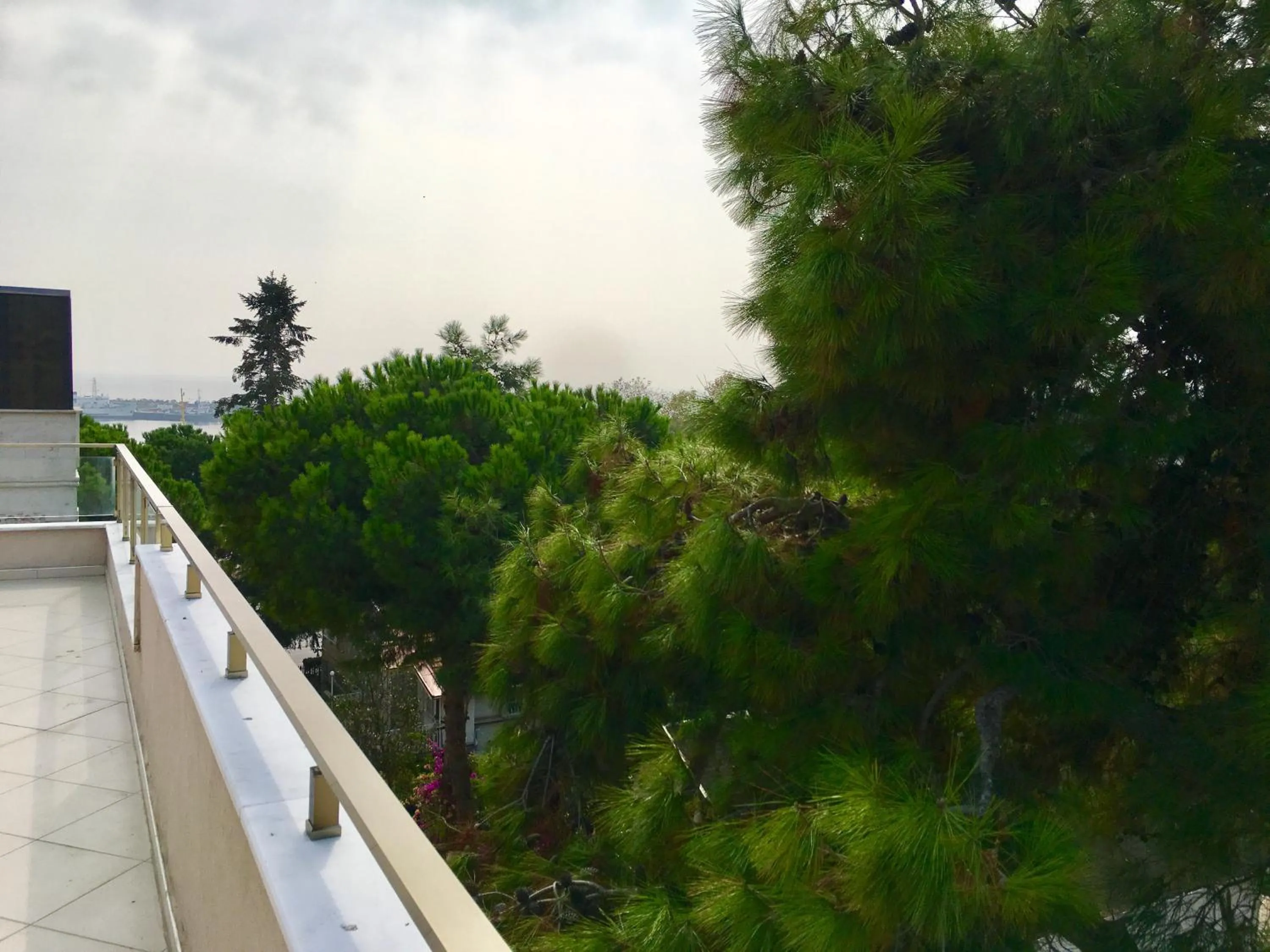 Spring in Şeker Apartments