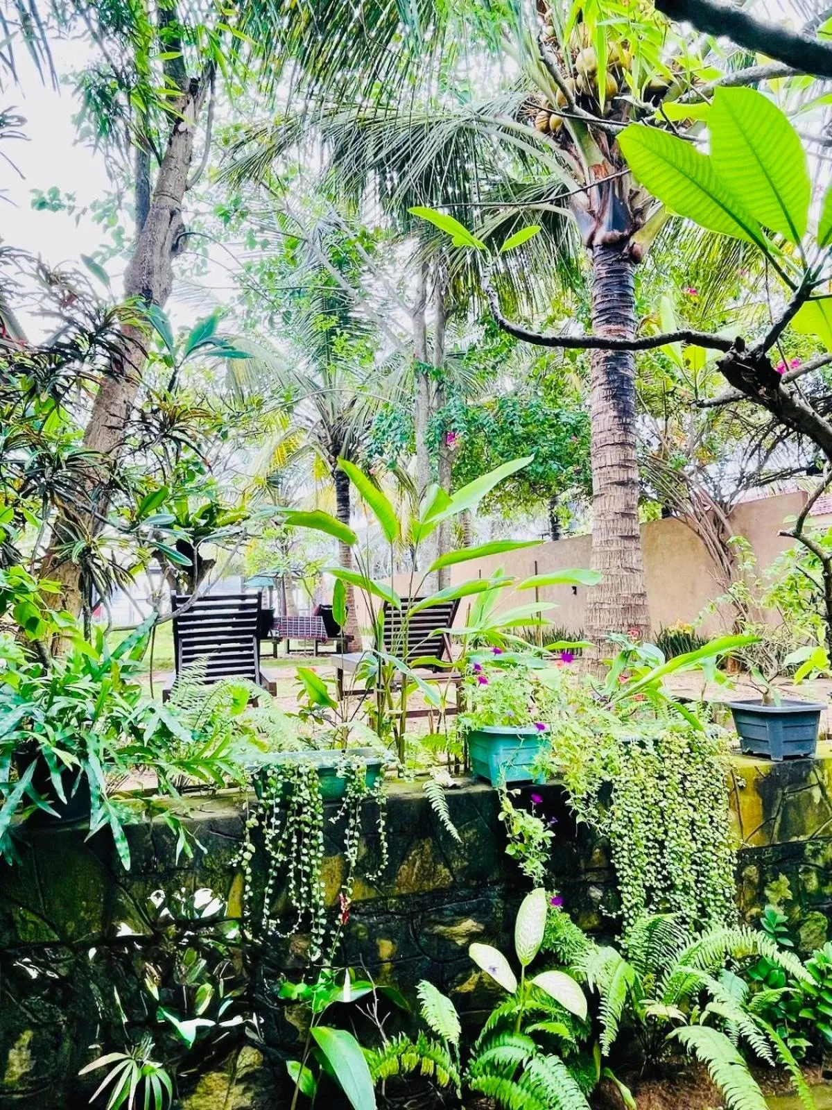 Villa Sri Beach Ayurveda Retreat