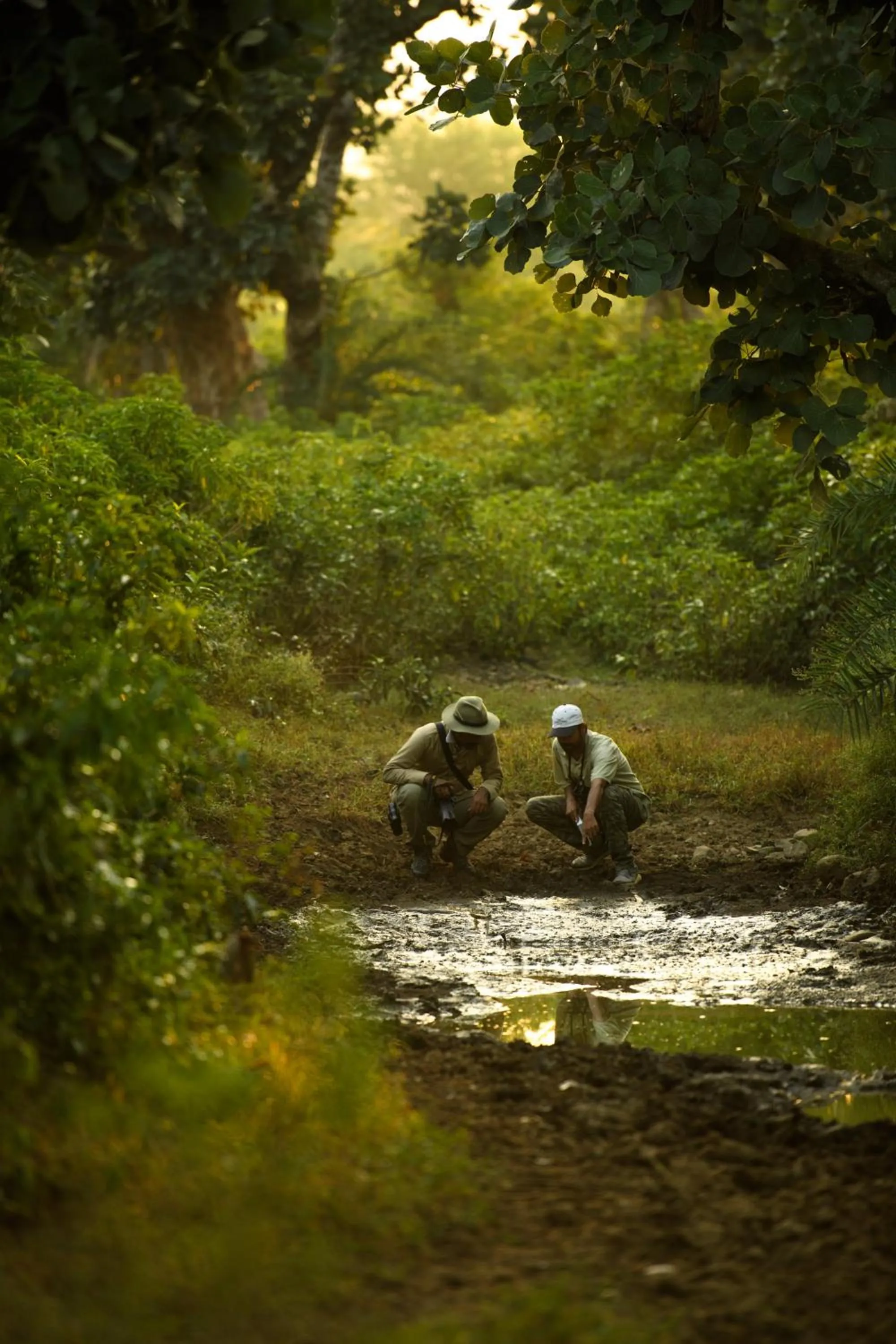 Property building in Utsav Camp Sariska