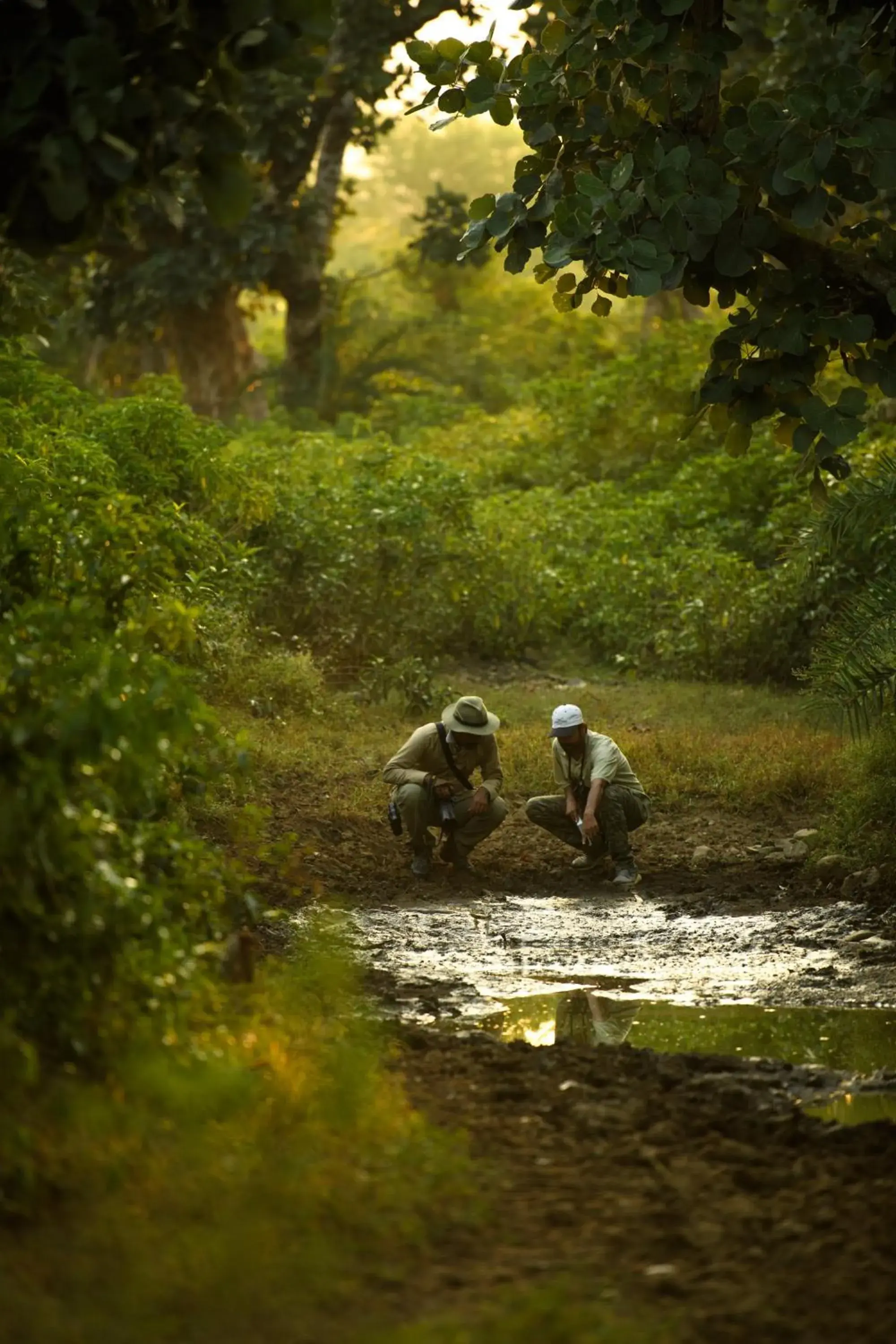 Property building in Utsav Camp Sariska Property building in Utsav Camp Sariska