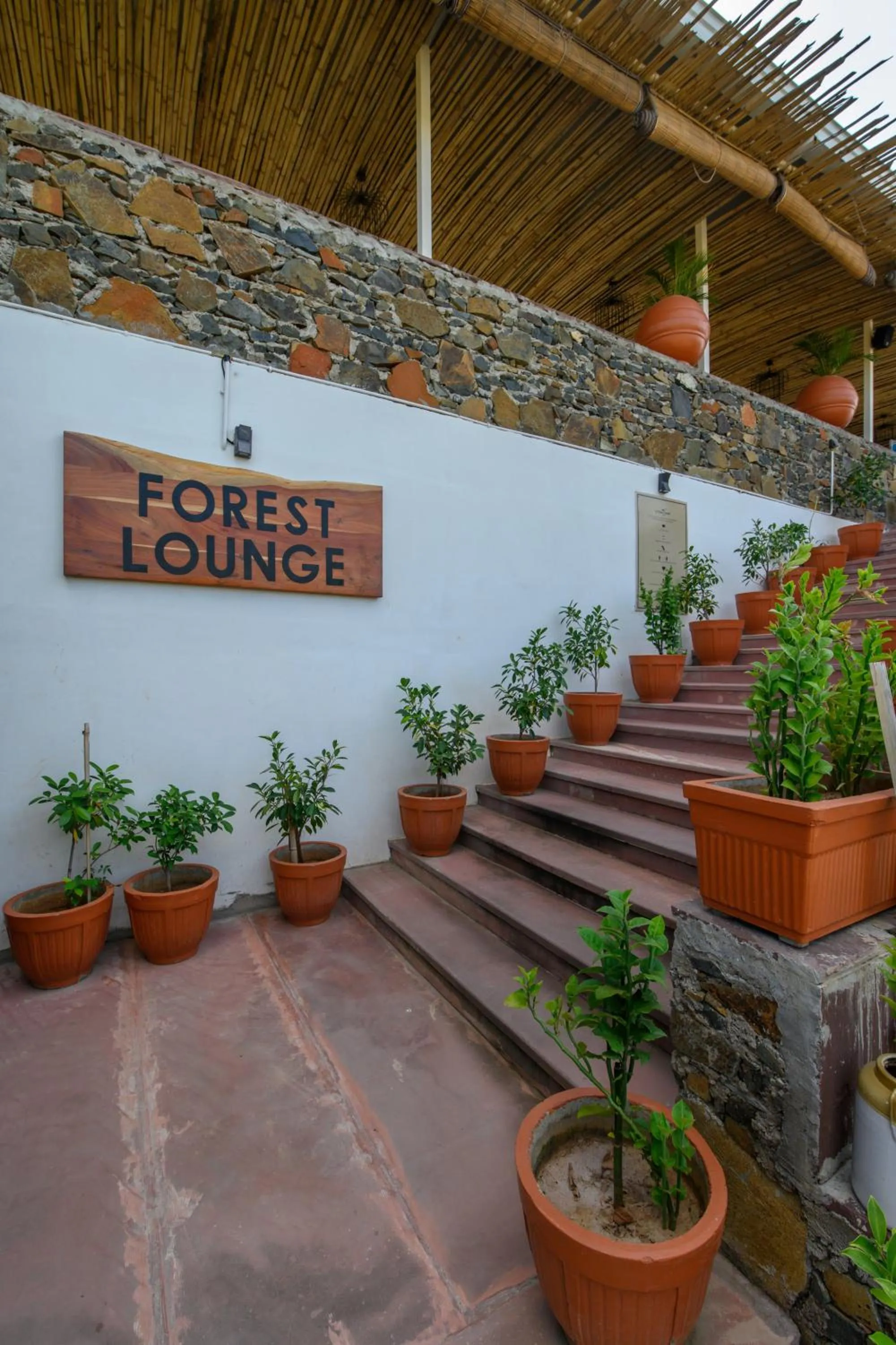 Restaurant/places to eat in Utsav Camp Sariska