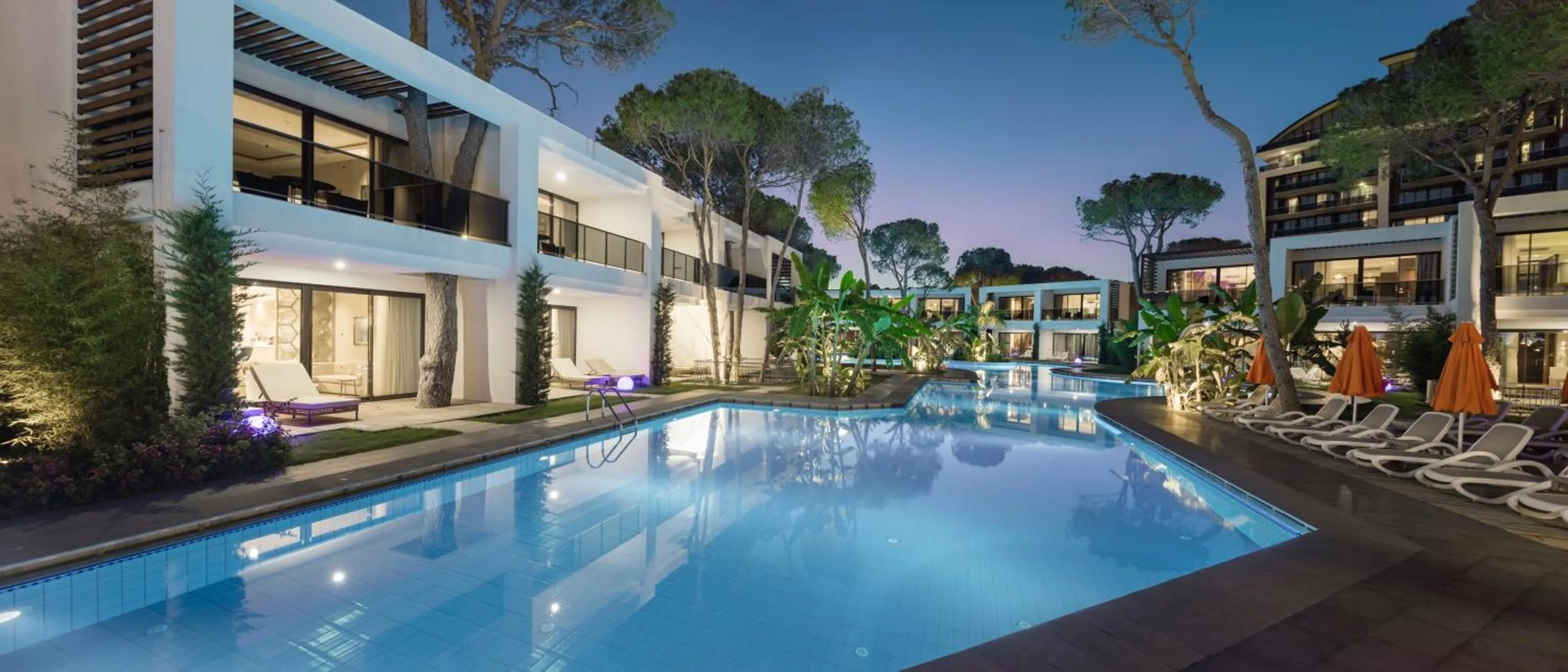 Photo of the whole room in Trendy Lara