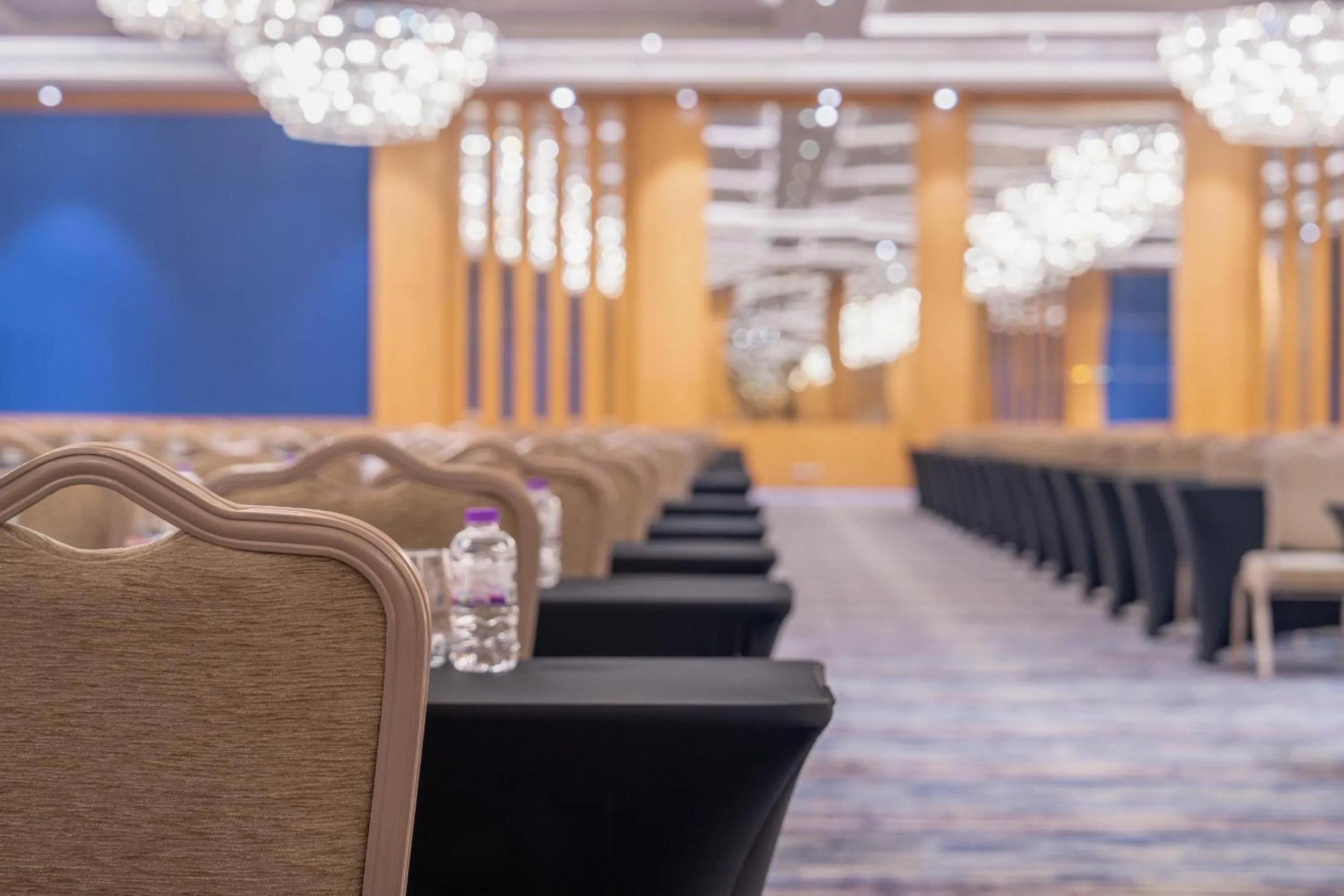 Meeting/conference room in Trendy Lara