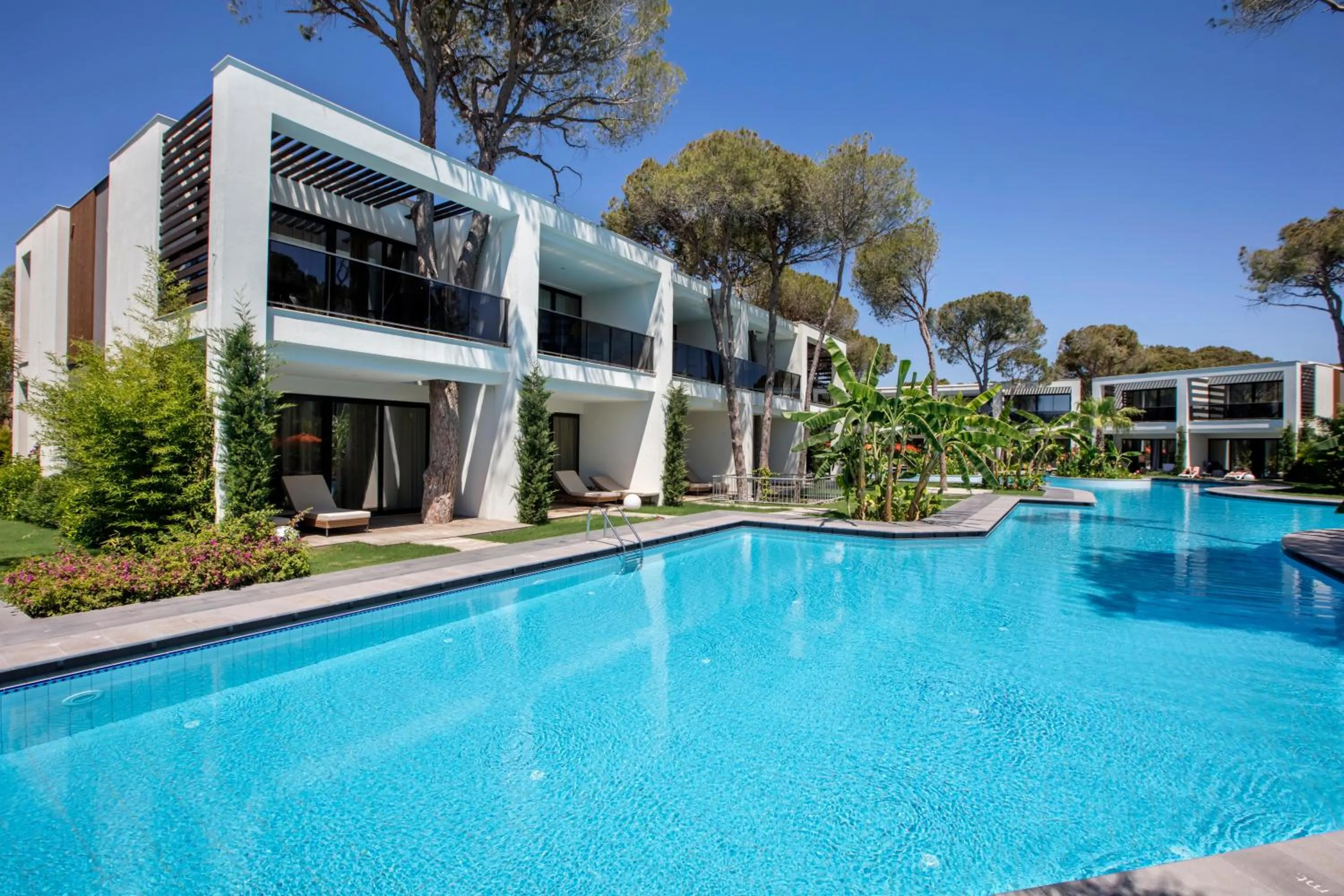 Photo of the whole room in Trendy Lara