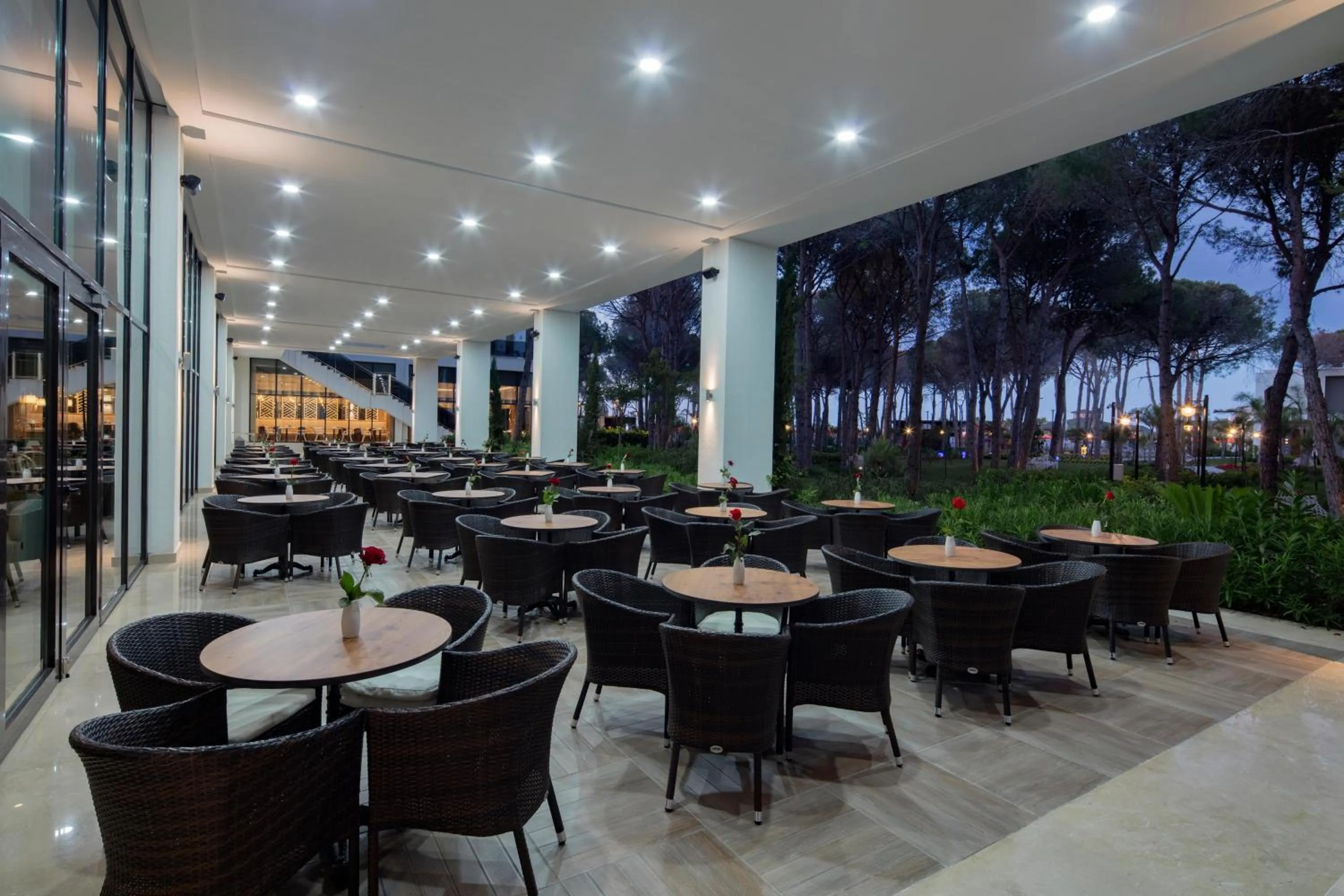 Lounge or bar in Trendy Lara