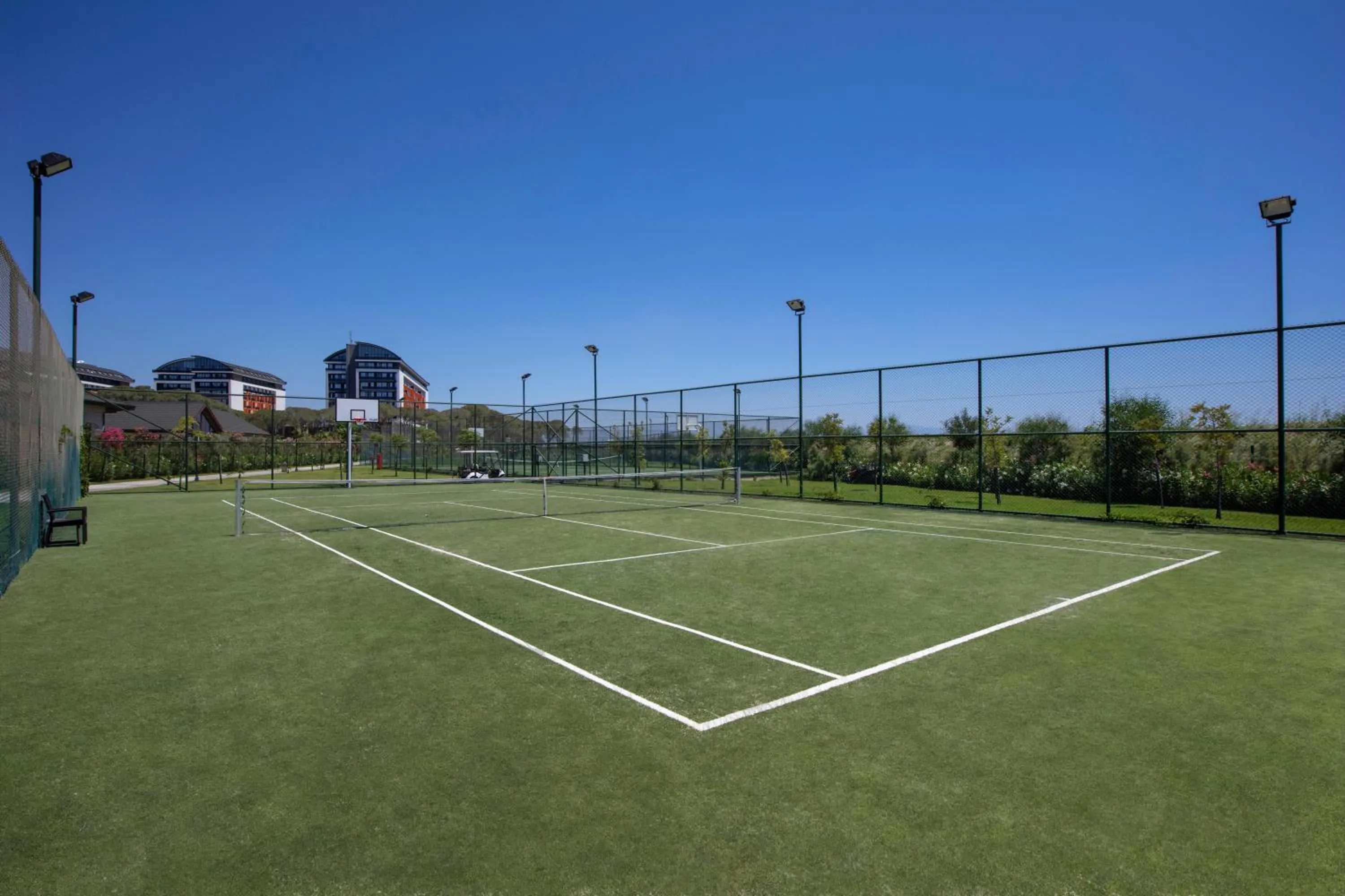 Activities in Trendy Lara