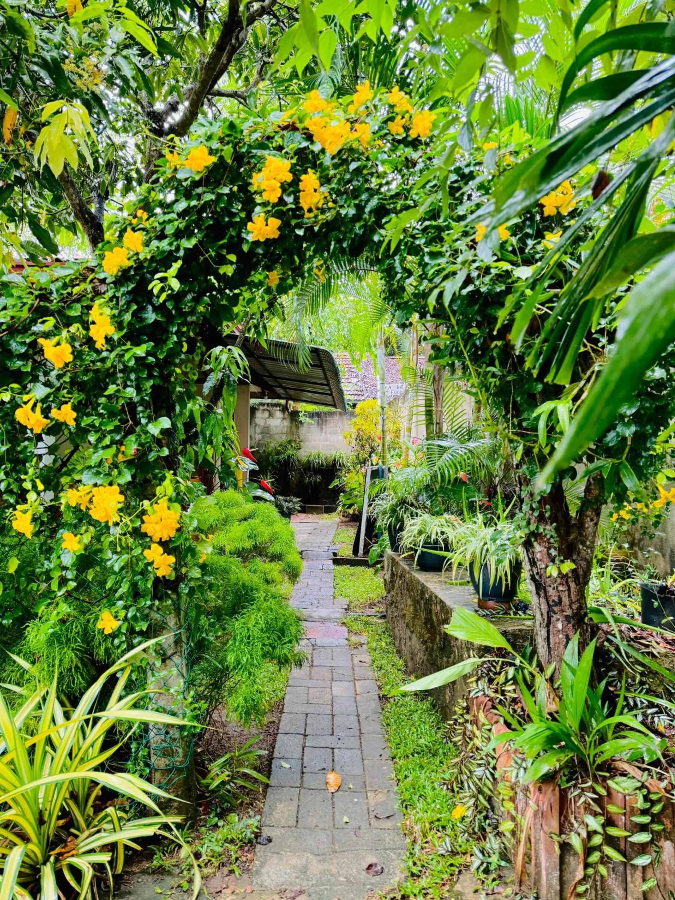 Garden in Nethmi Homestay & family Restaurant