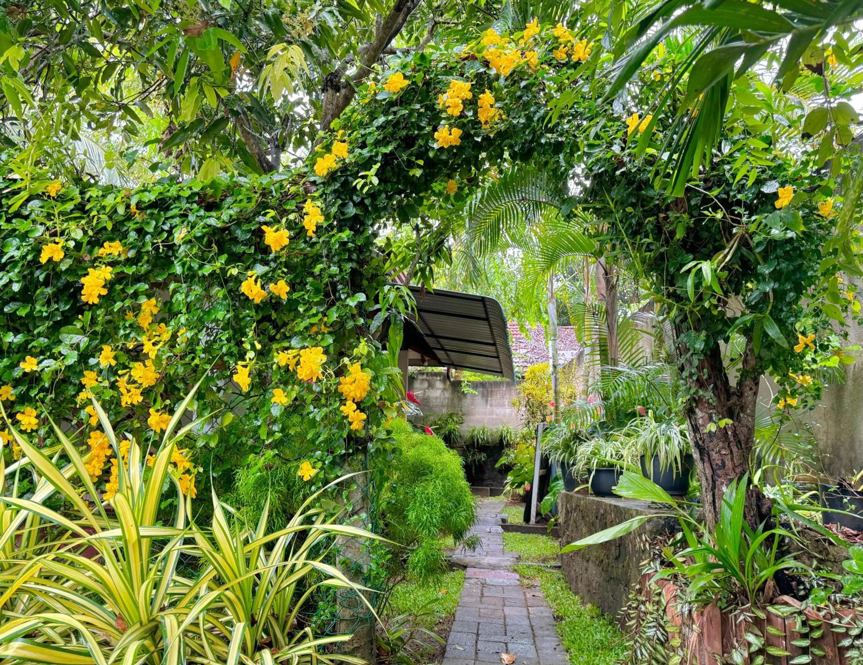 Garden view in Nethmi Homestay & family Restaurant
