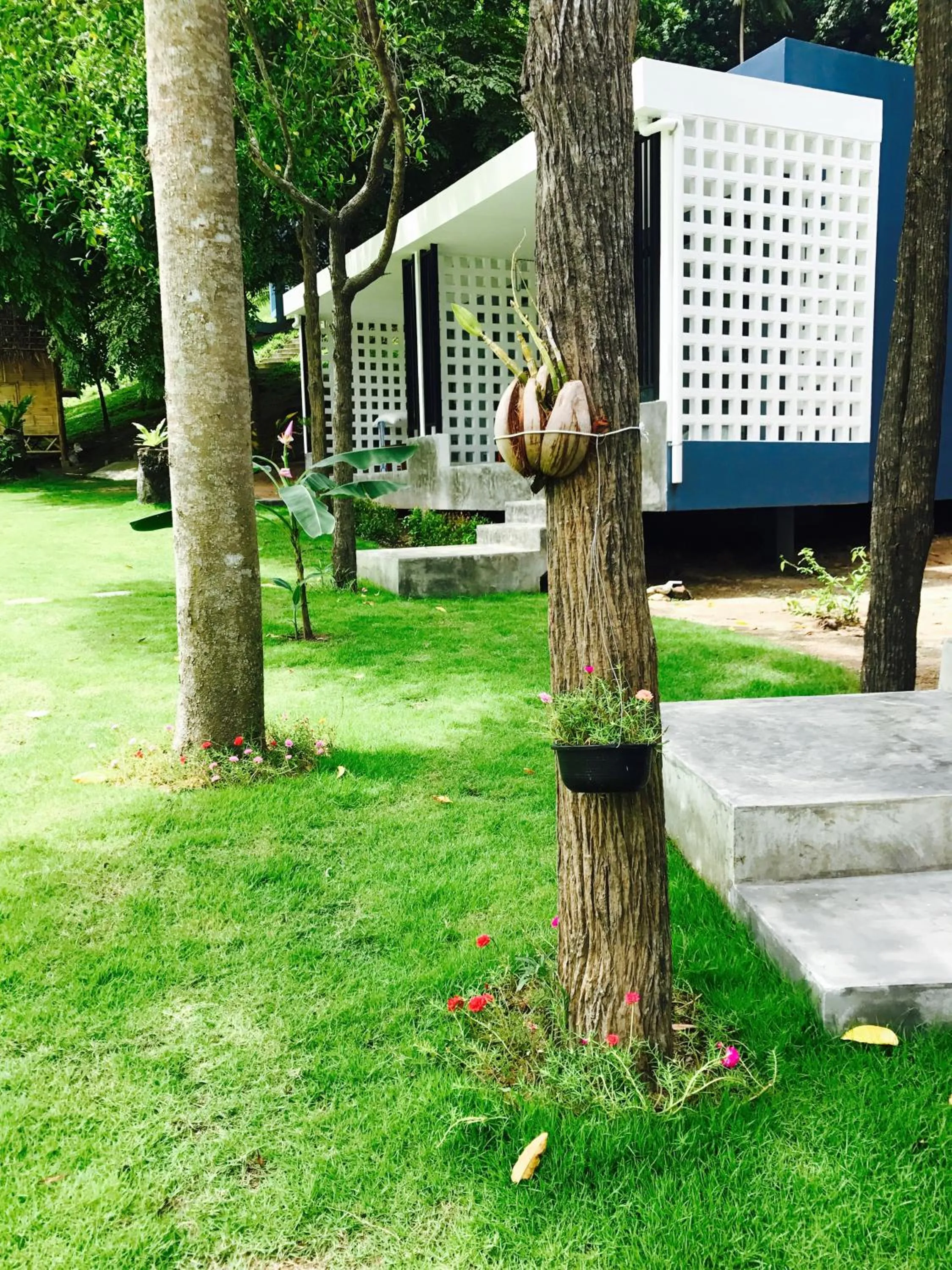 Photo of the whole room in Kiri Tawan