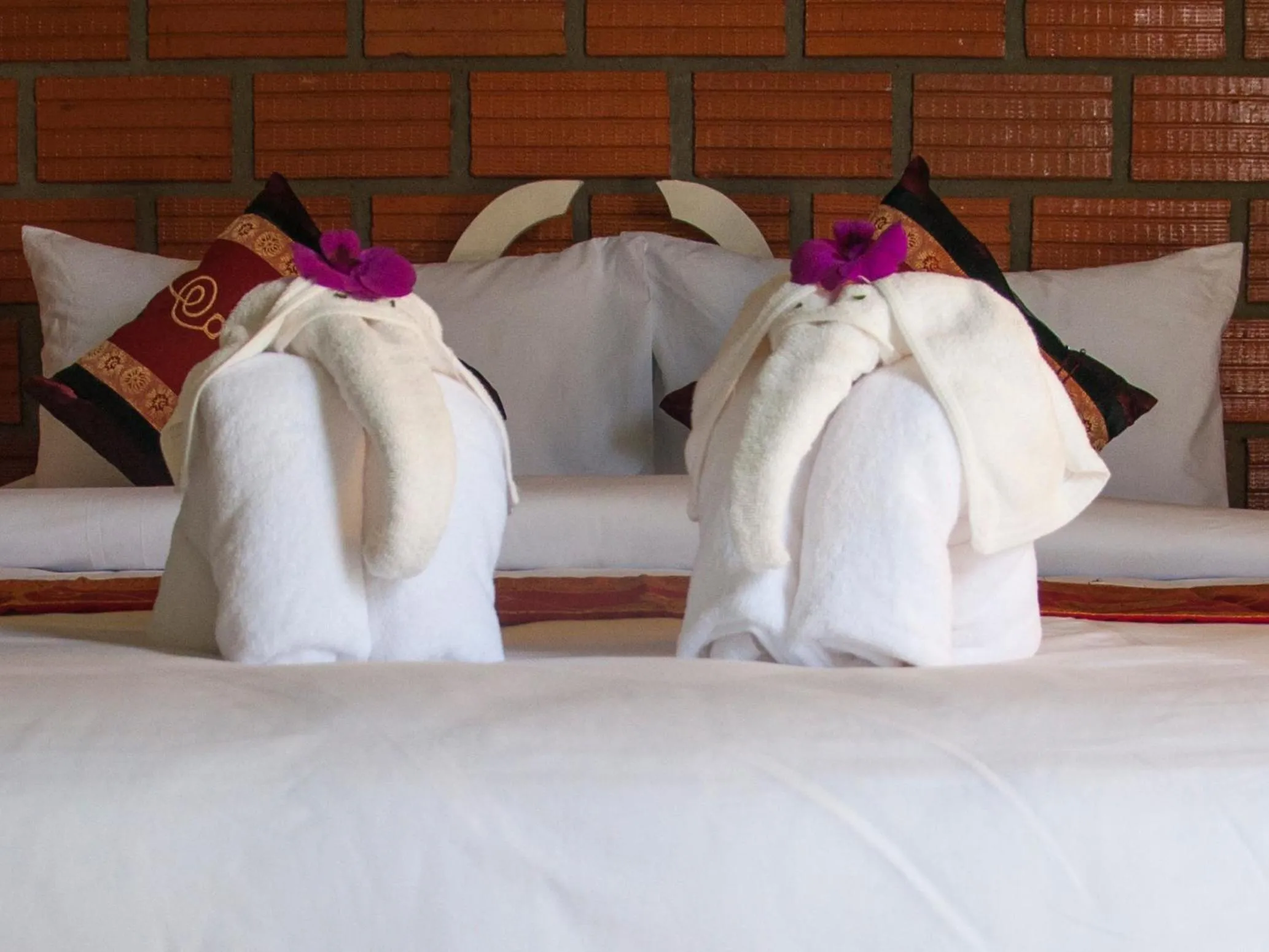 Shower, Bed in Casacool Hotel