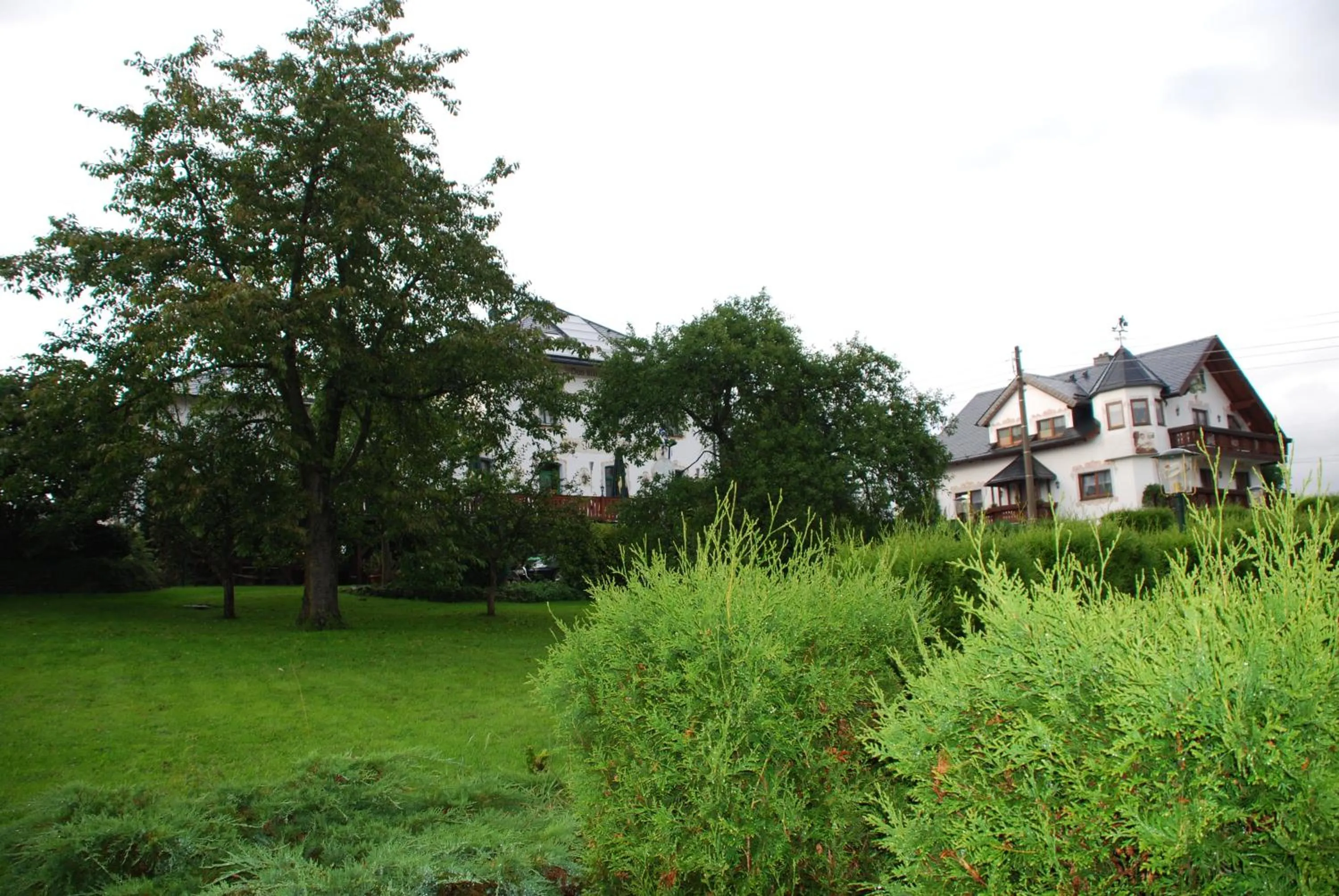Garden in Hotel Alpenhof